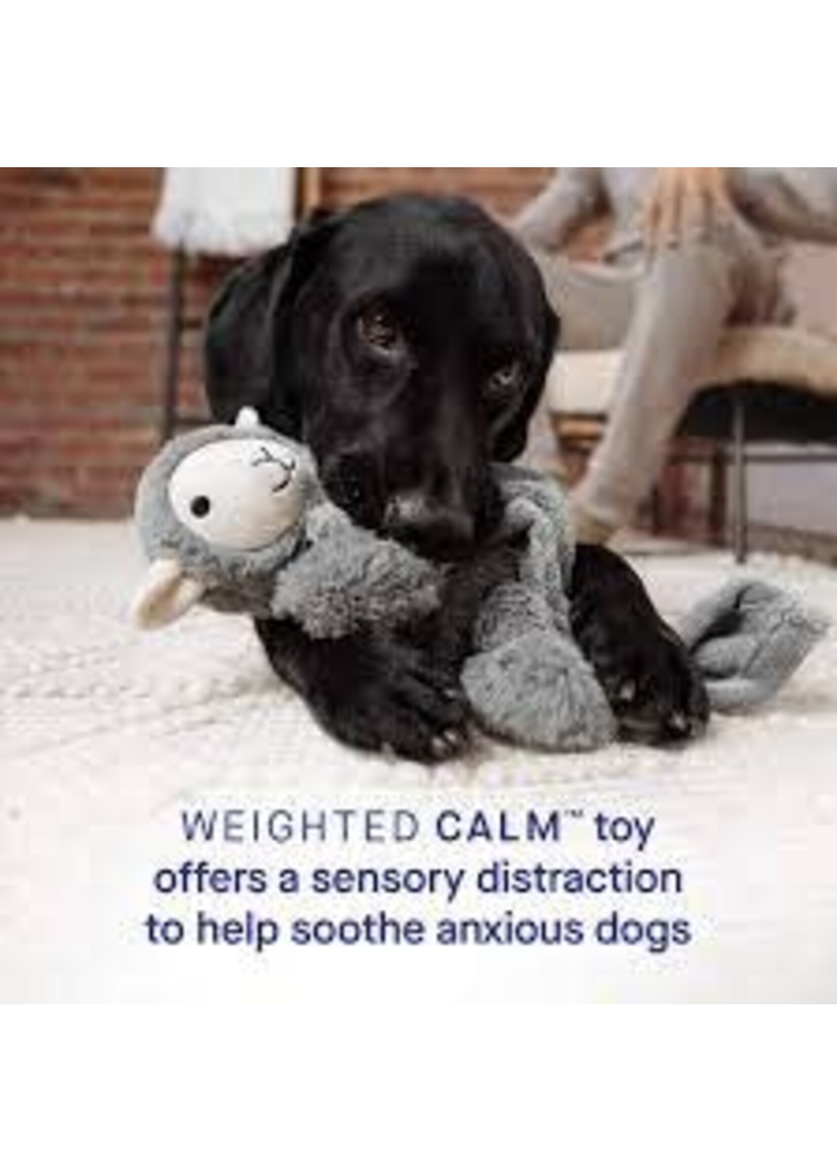 Canada Pooch Canada Pooch Core Weighted Calming Toy Lamb Grey Lavender