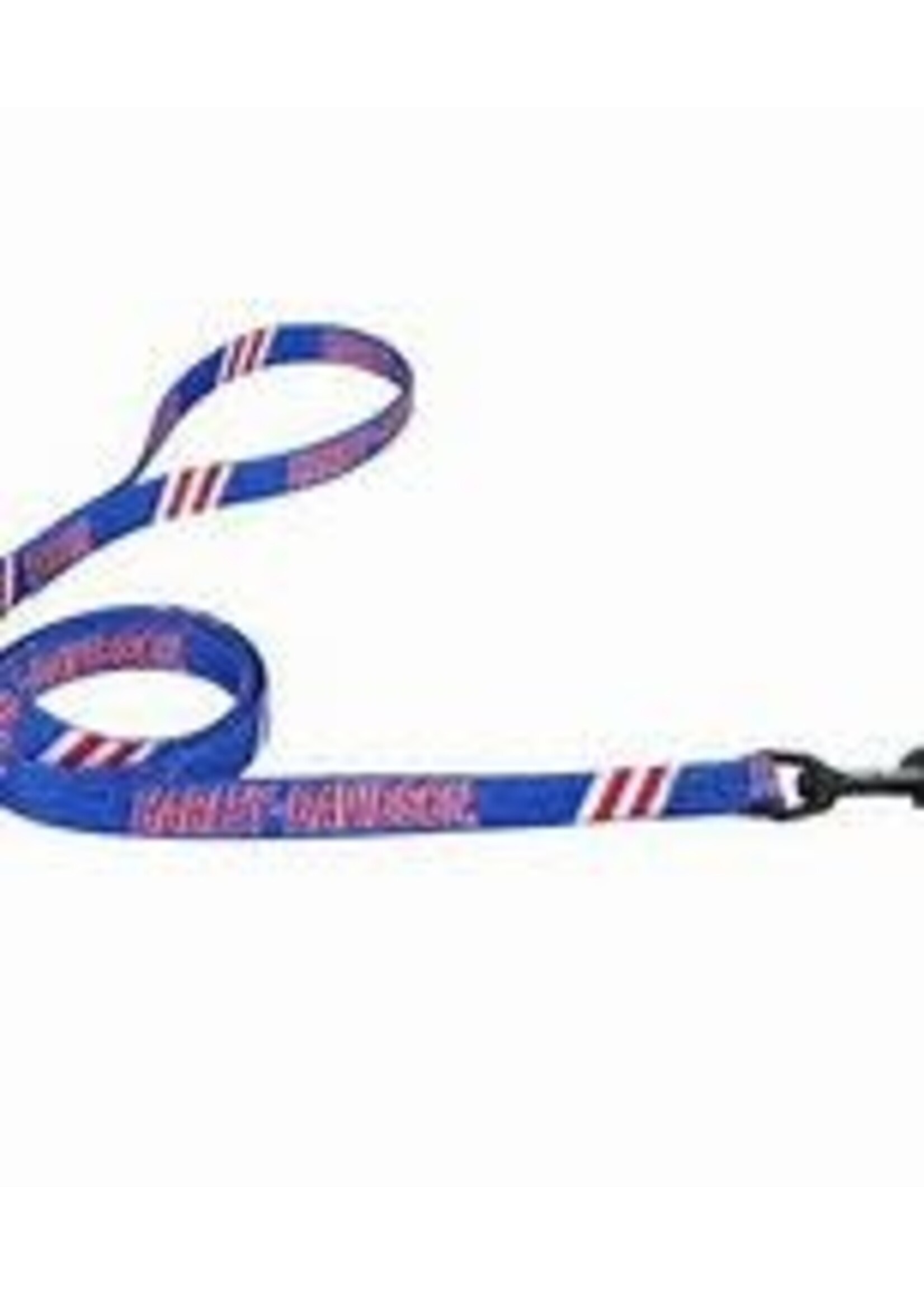 Coastal Pet Products Inc. Coastal Harley Davidson Nylon Lead