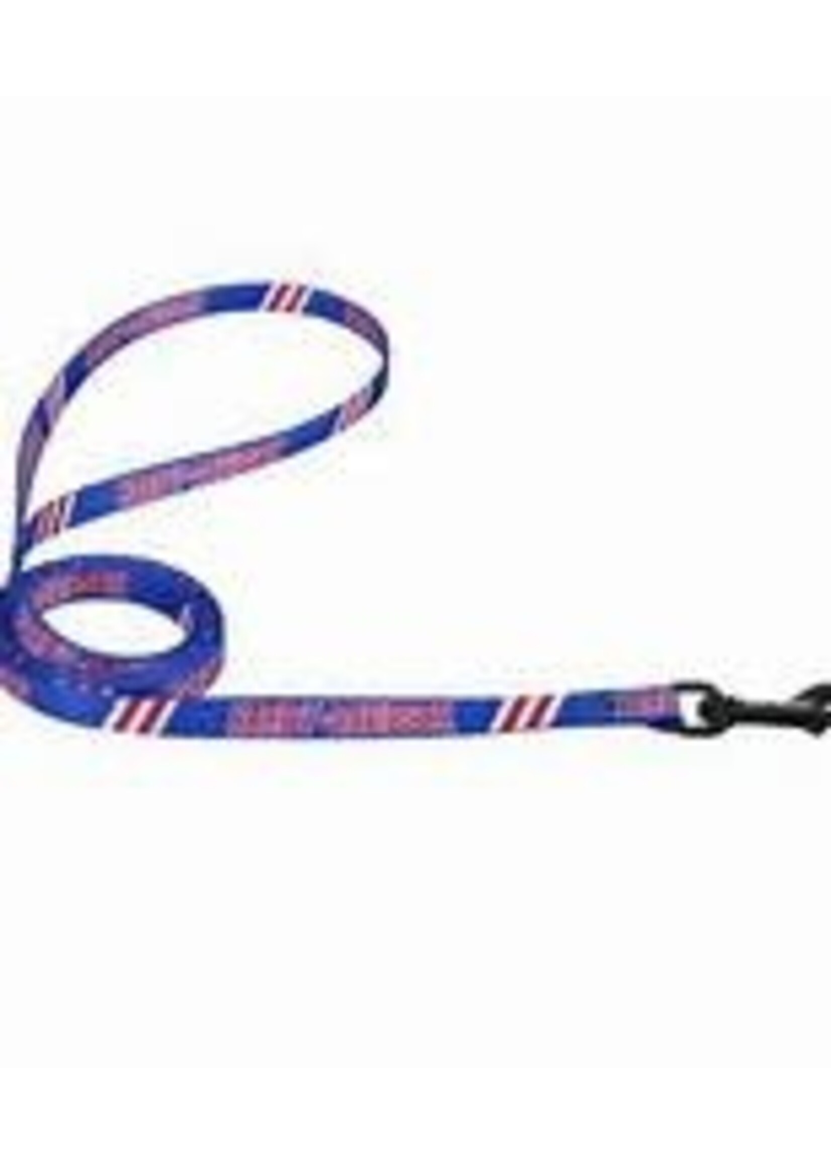 Coastal Pet Products Inc. Coastal Harley Davidson Nylon Lead