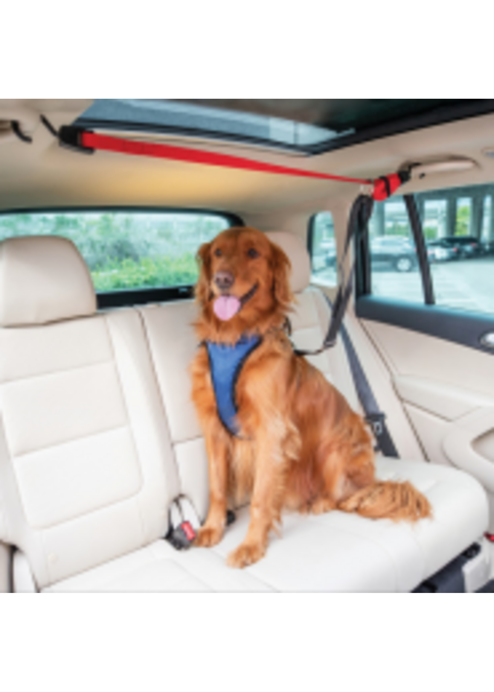 Petsafe Petsafe Happy Ride Dog Vehicle Zipline
