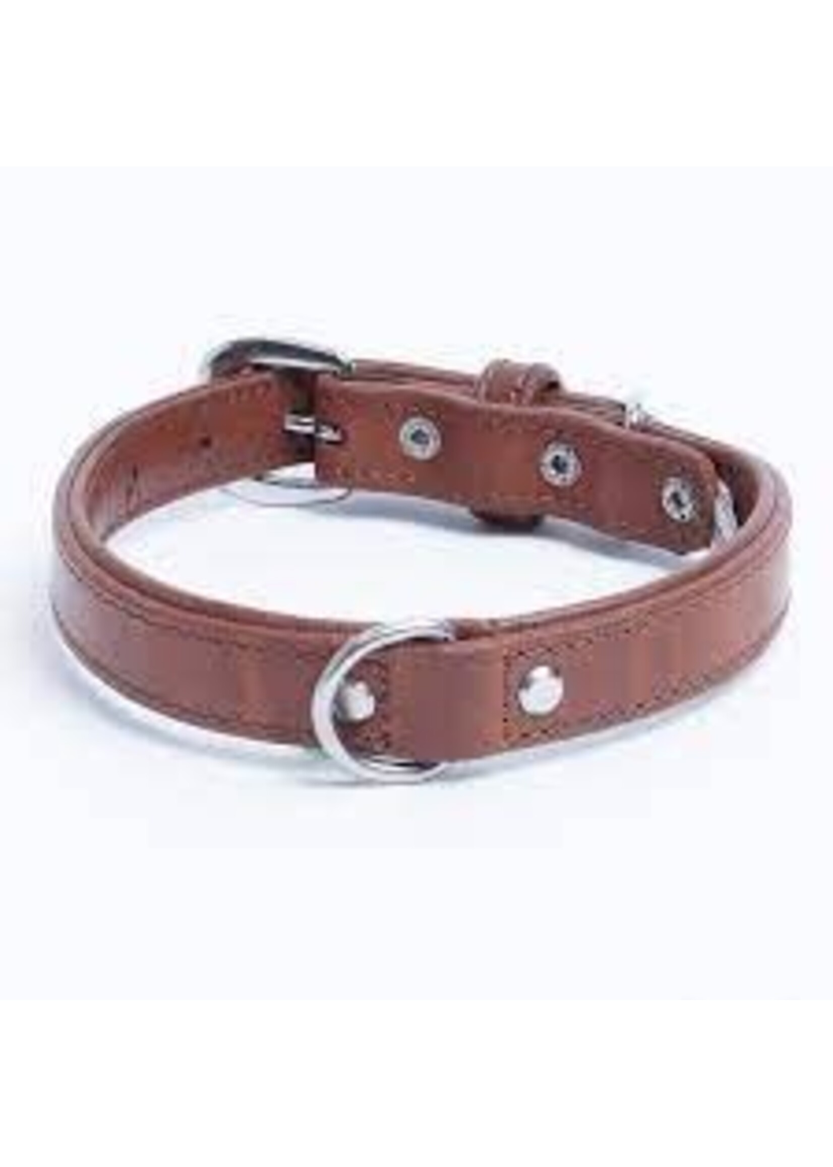 Angel Pet Supplies Angel Dallas Collar