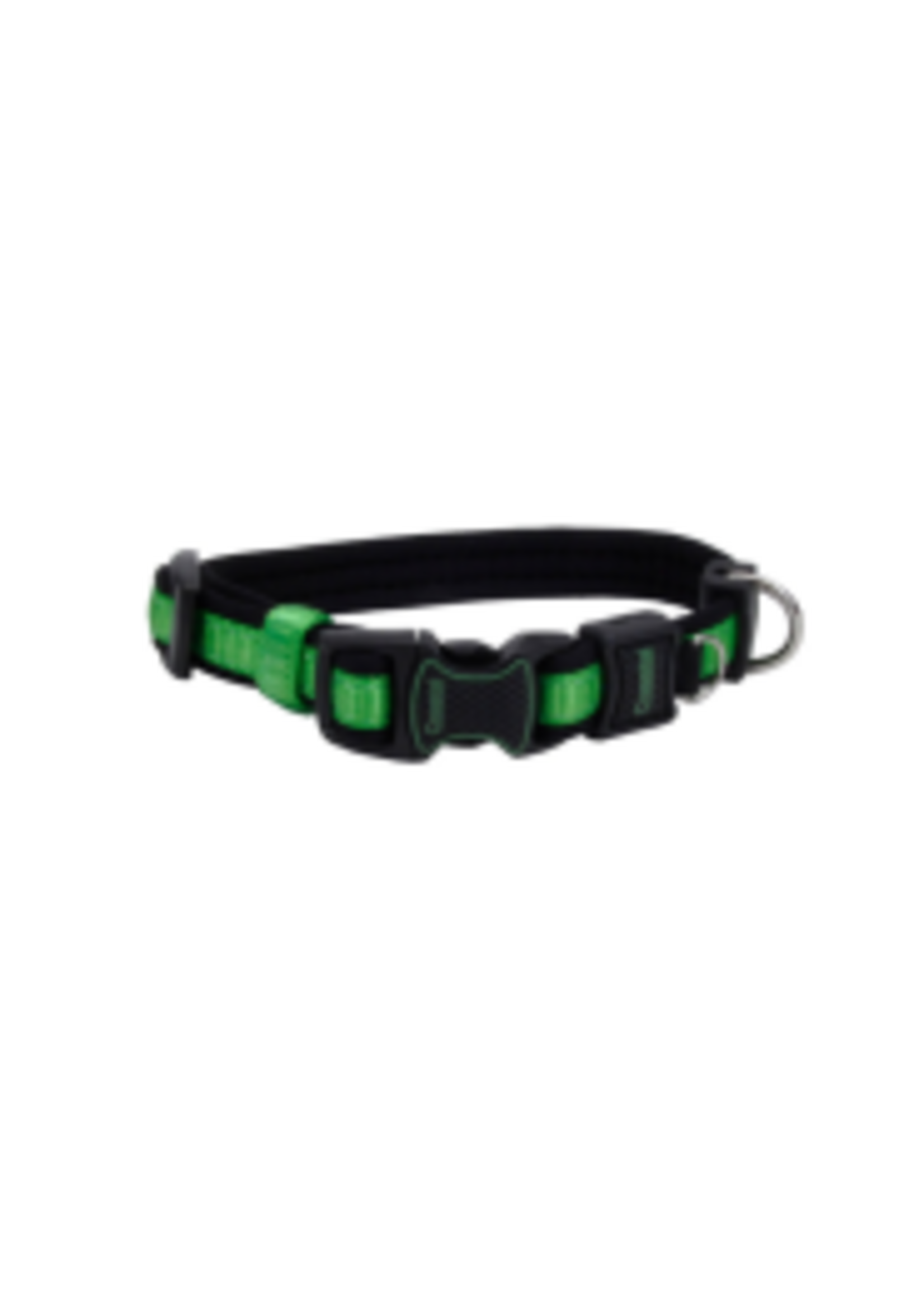Coastal Pet Products Inc. Coastal Inspire Adjustable Collar Green