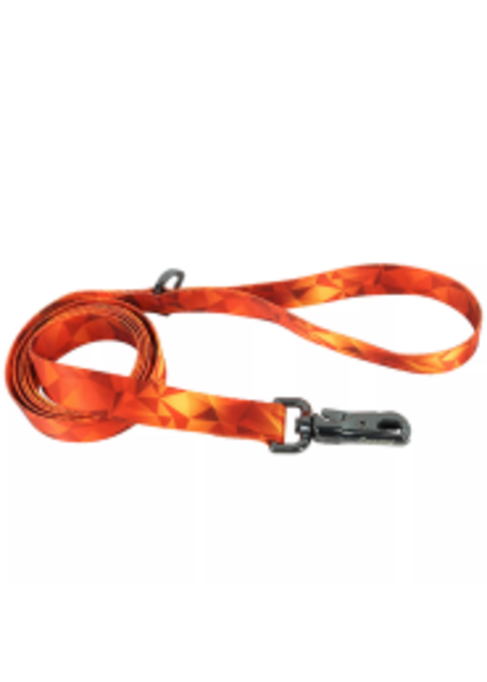 Coastal Pet Products Inc. Coastal Inspire Dog Leash Blazing Shards