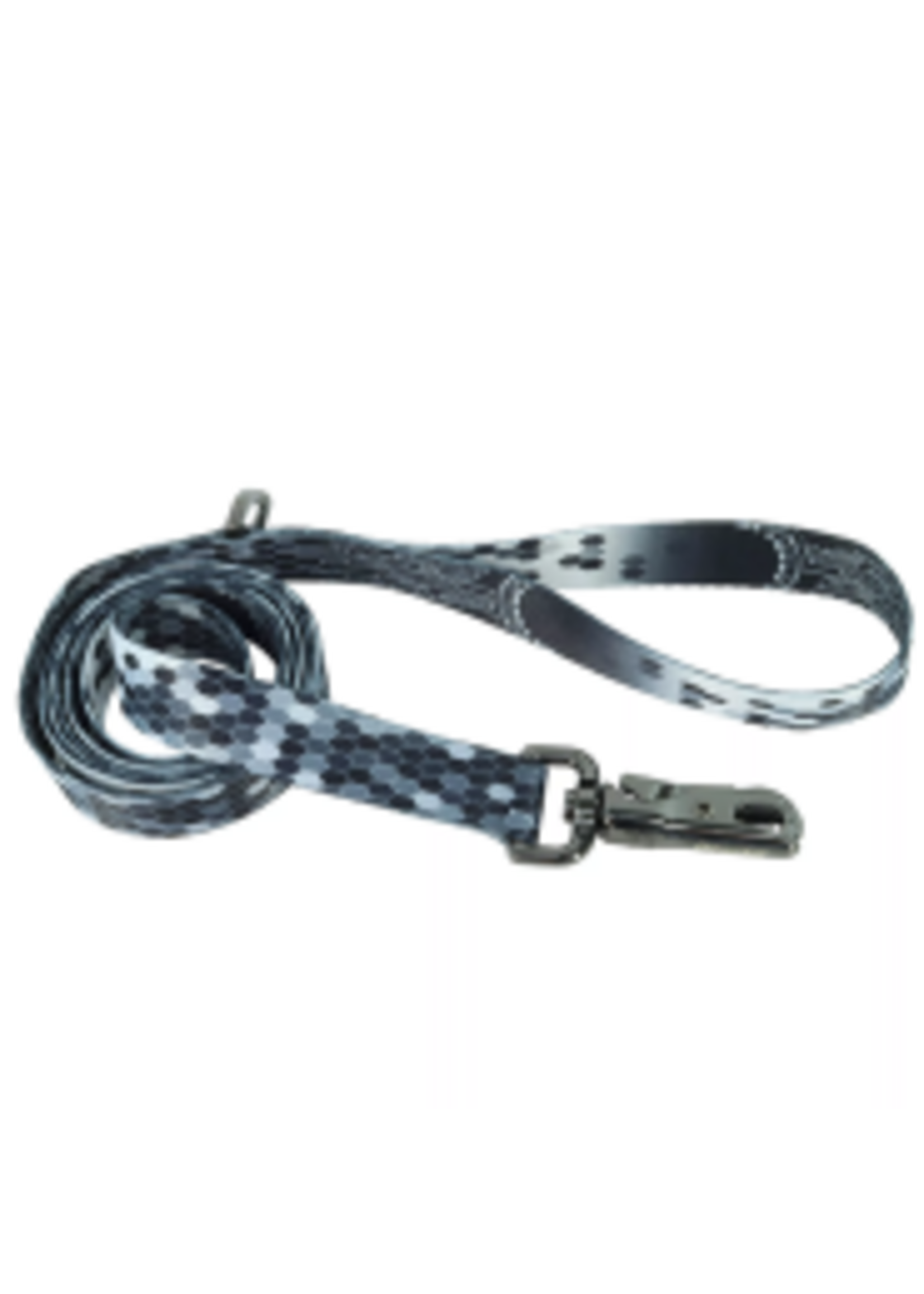 Coastal Pet Products Inc. Coastal Inspire Dog Leash Digital Matrix