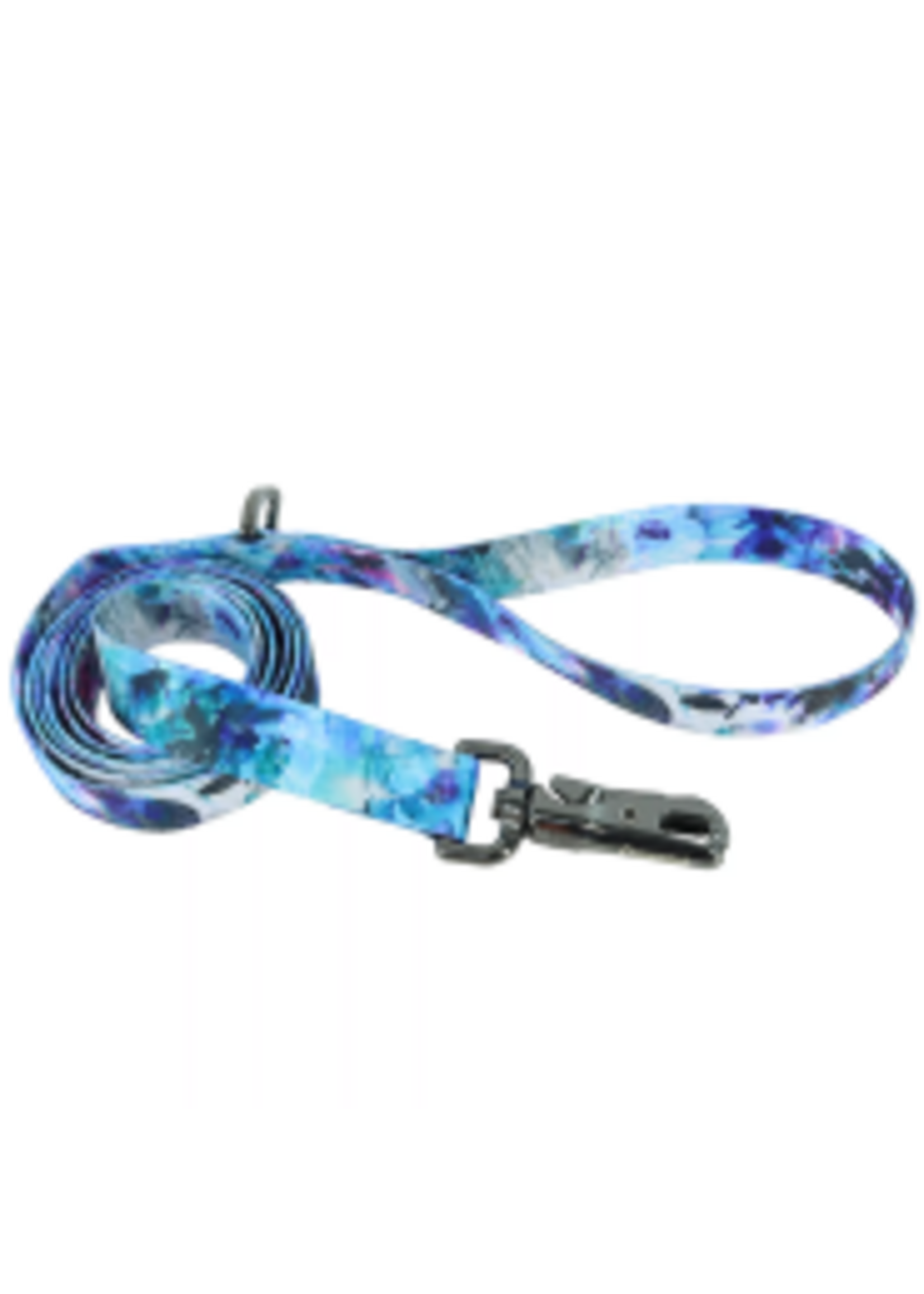 Coastal Pet Products Inc. Coastal Inspire Dog Leash Rainy Day Floral