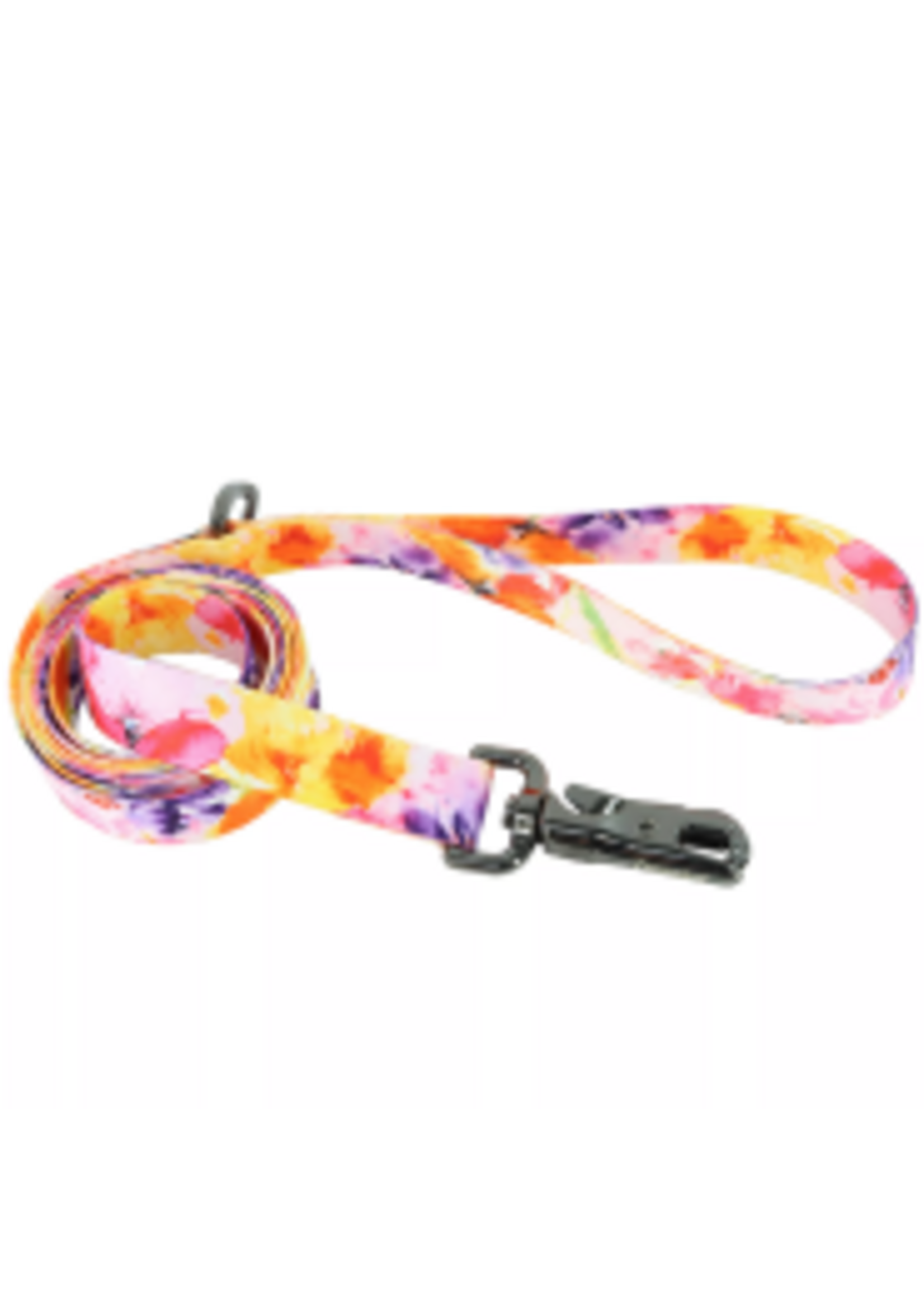 Coastal Pet Products Inc. Coastal Inspire Dog Leash Sherbet Blooms