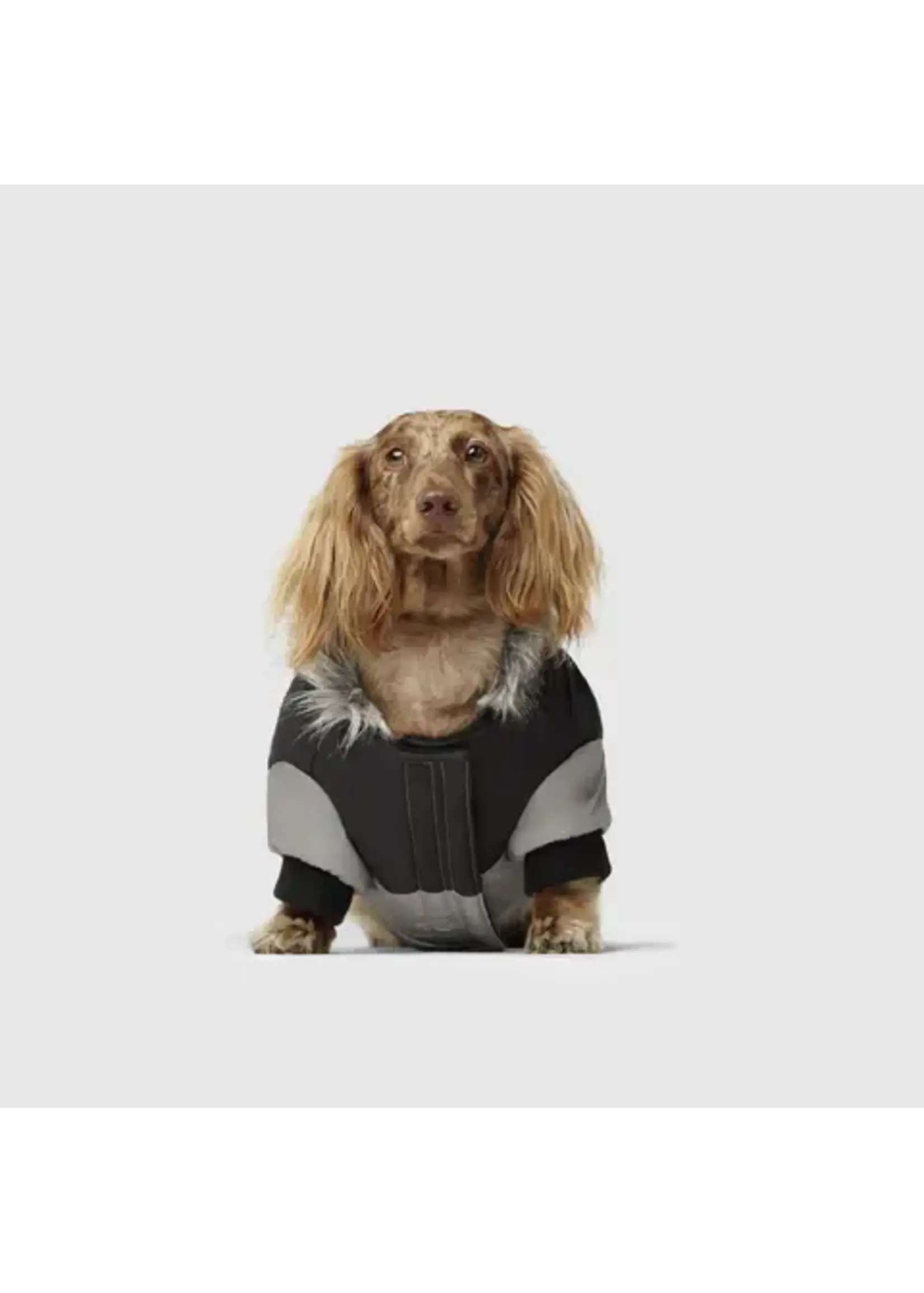 Canada Pooch Canada Pooch True North Parka 8 inch