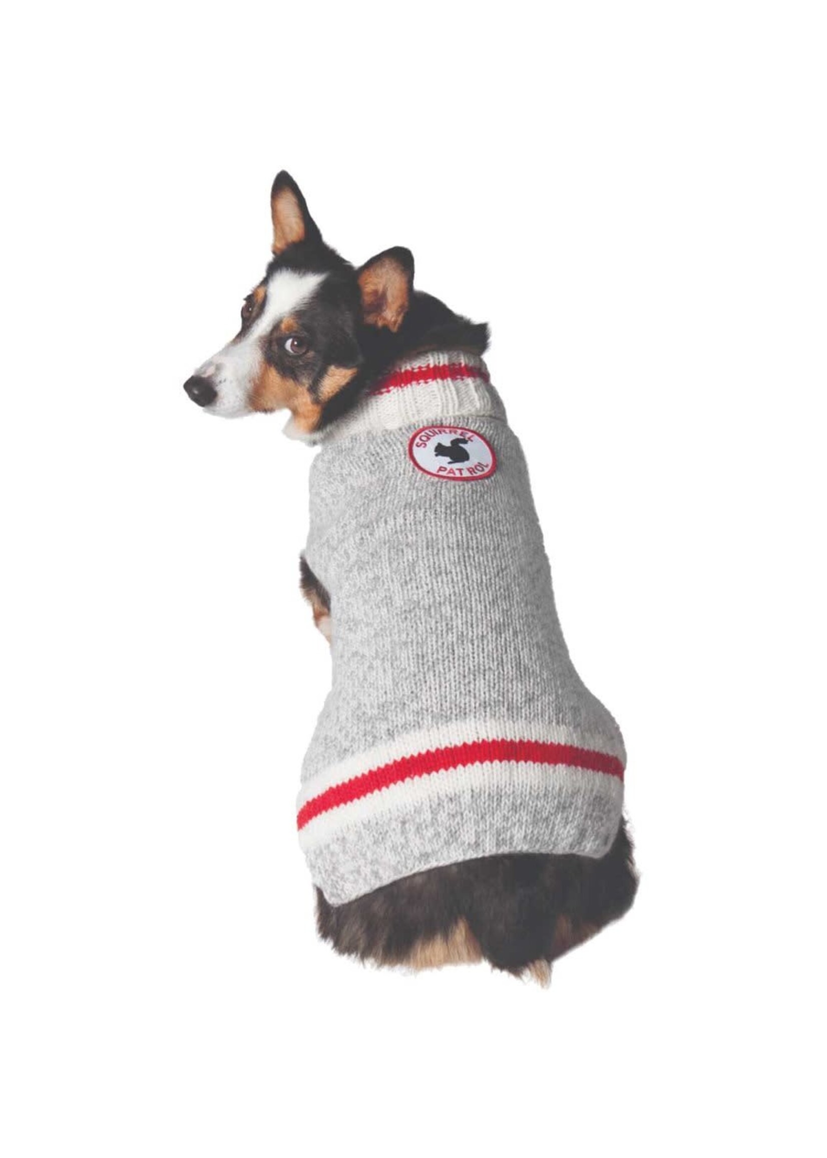 Chilly Dog Chilly Dog Squirrel Patrol Sweater Grey