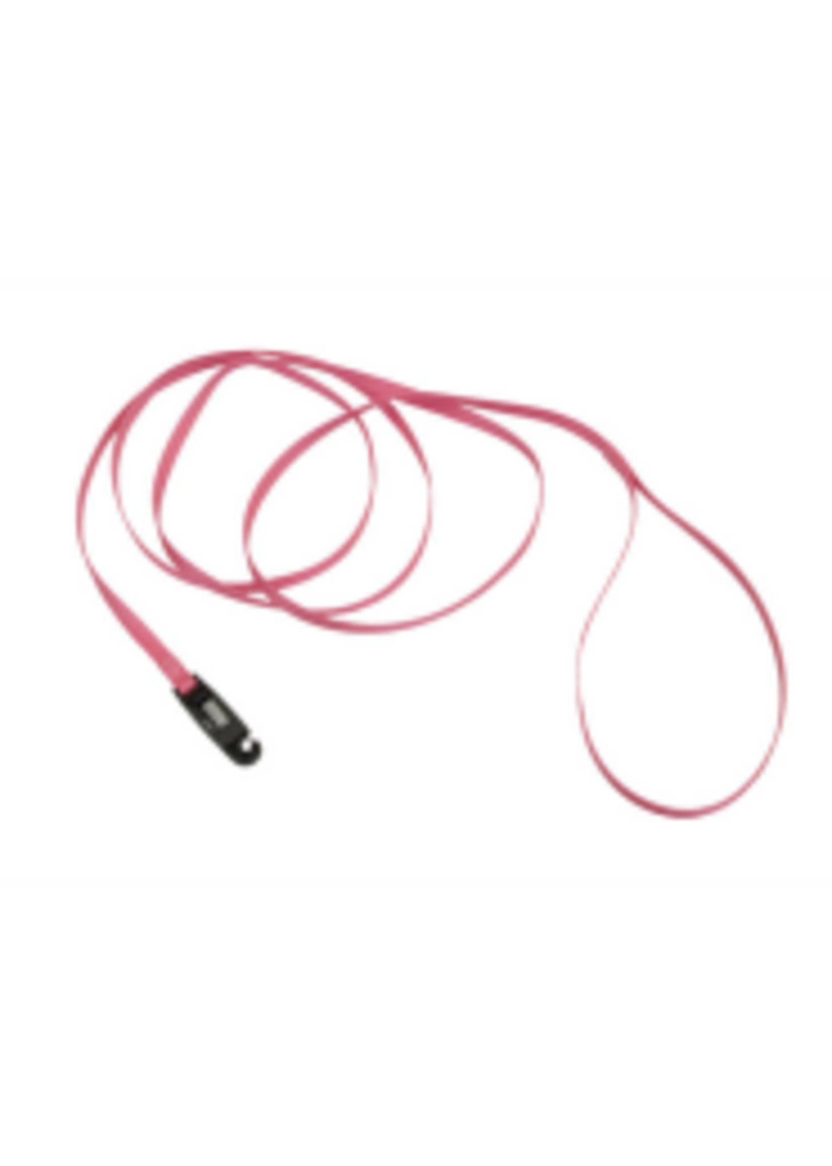 Coastal Pet Products Inc. Li'l Pals Nylon Leash w/ E-Z Snap 5/16" x 6'