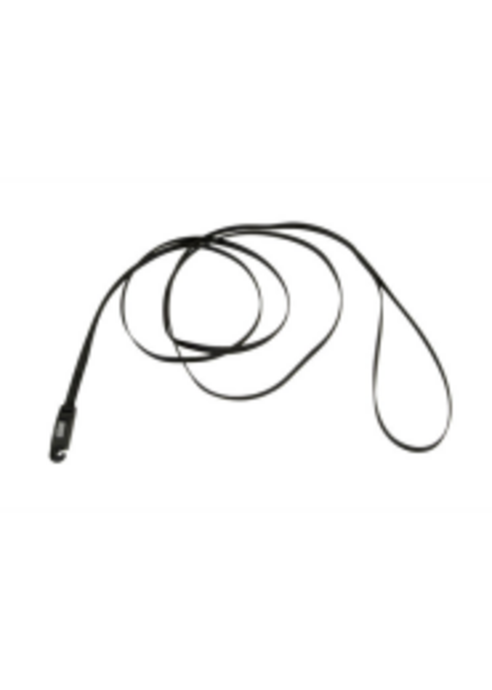 Coastal Pet Products Inc. Li'l Pals Nylon Leash w/ E-Z Snap 5/16" x 6'