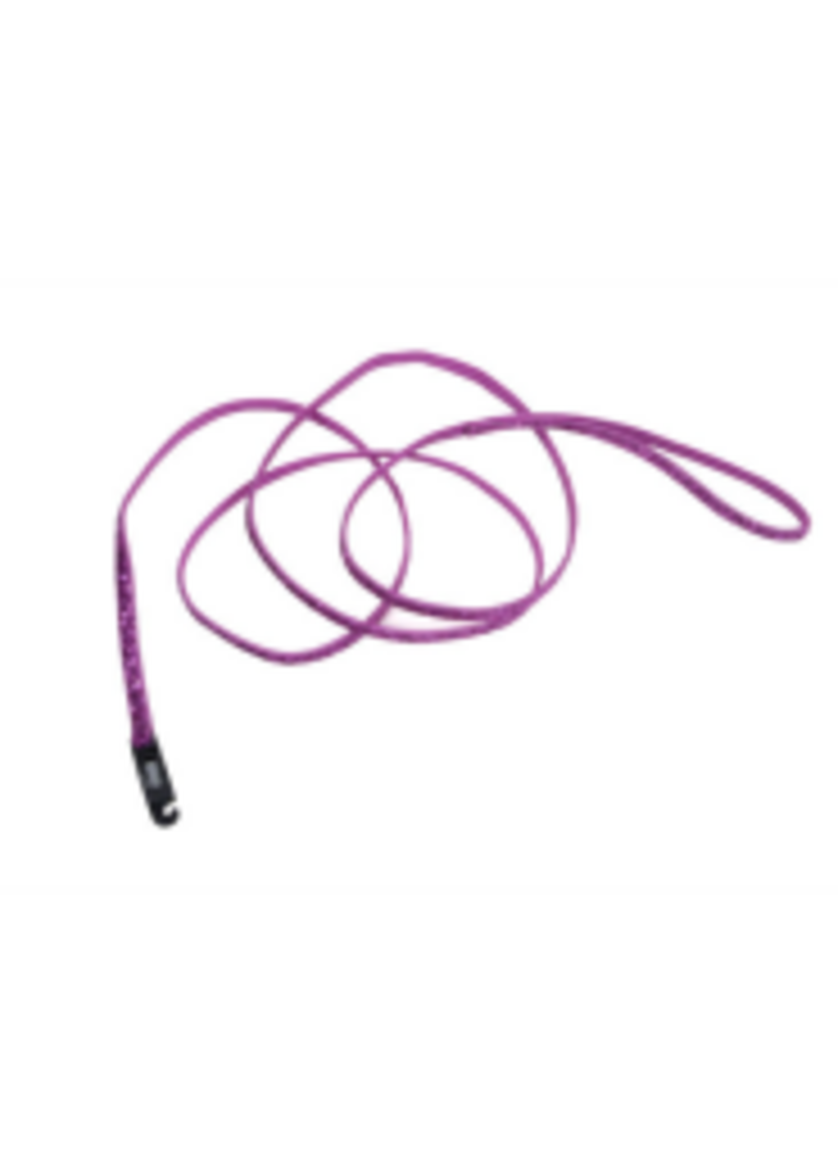 Coastal Pet Products Inc. Li'l Pals Leash w/ Glitter  3/8" x 6'