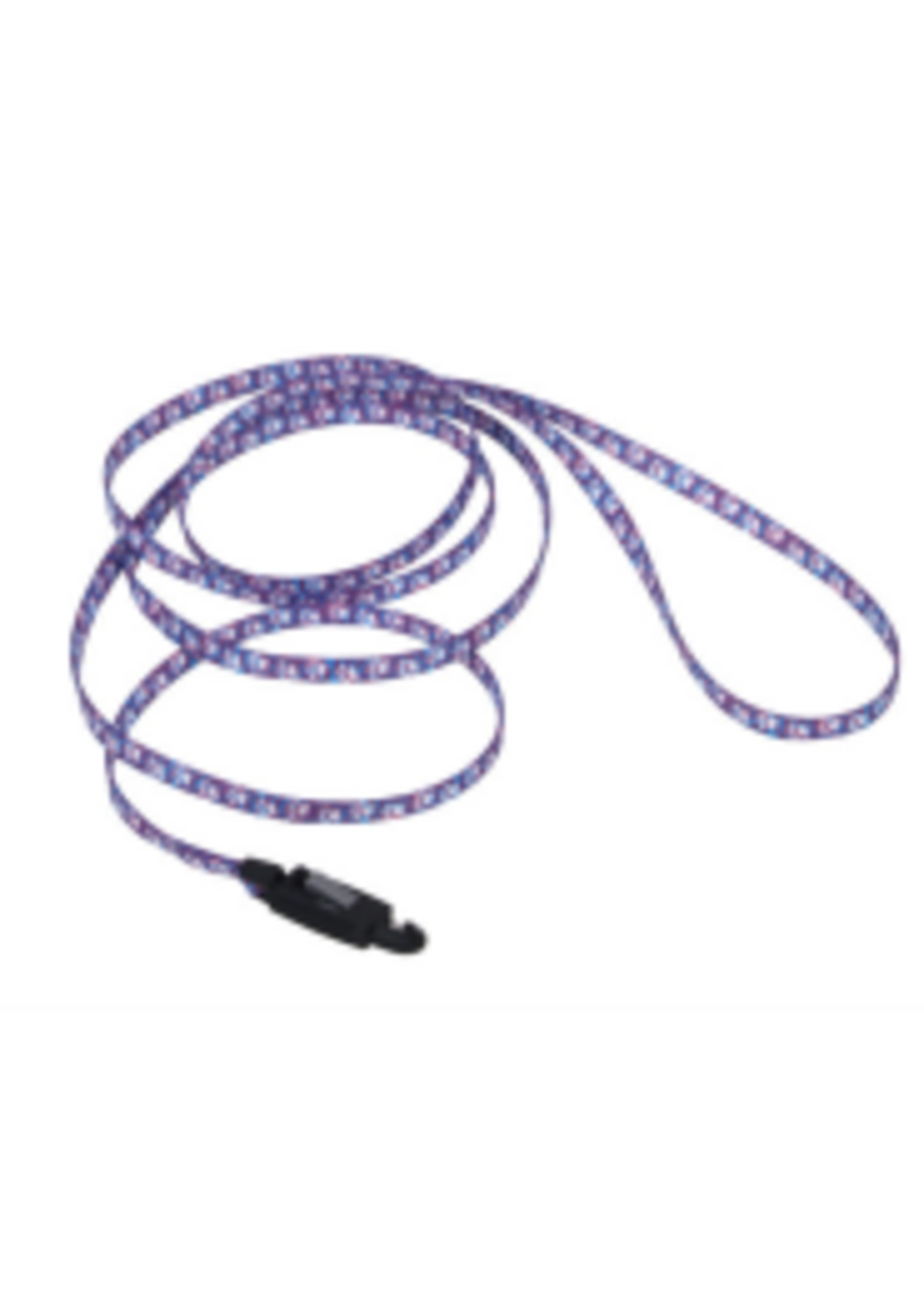 Coastal Pet Products Inc. Li'l Pals Pattern Nylon Leash w/ E-Z Snap