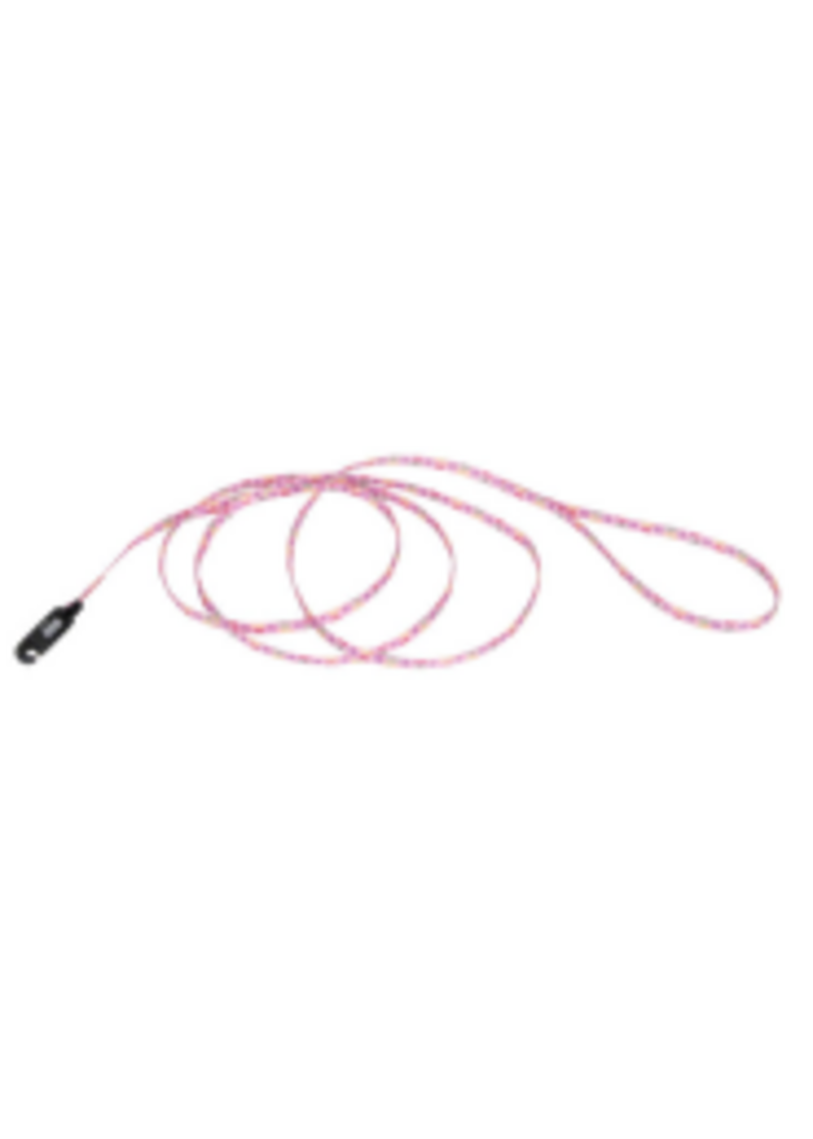 Coastal Pet Products Inc. Li'l Pals Pattern Nylon Leash w/ E-Z Snap