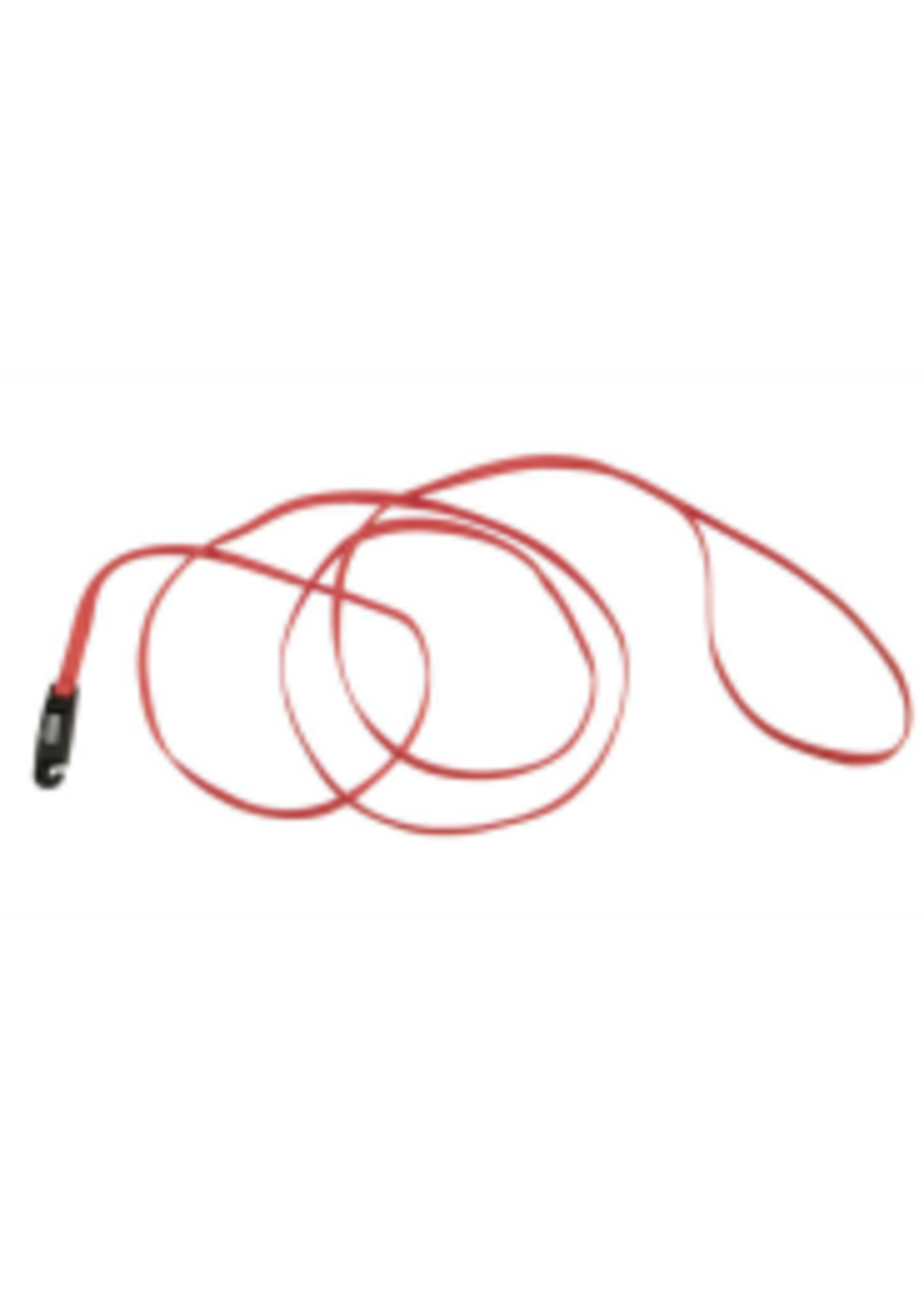 Coastal Pet Products Inc. Li'l Pals Nylon Leash w/ E-Z Snap 5/16" x 6'