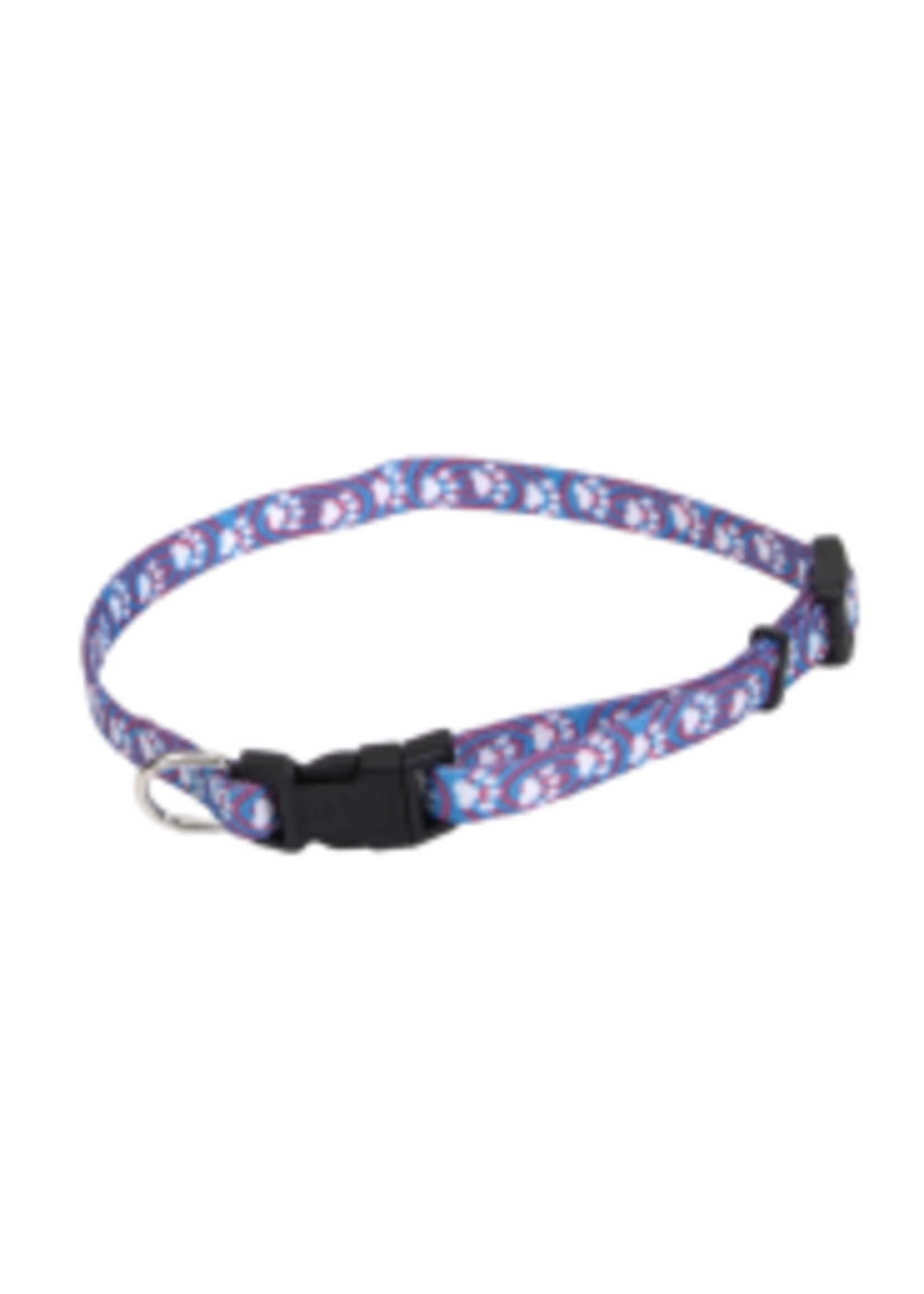 Coastal Pet Products Inc. Li'l Pals Printed Pattern Adjustable Nylon Collar