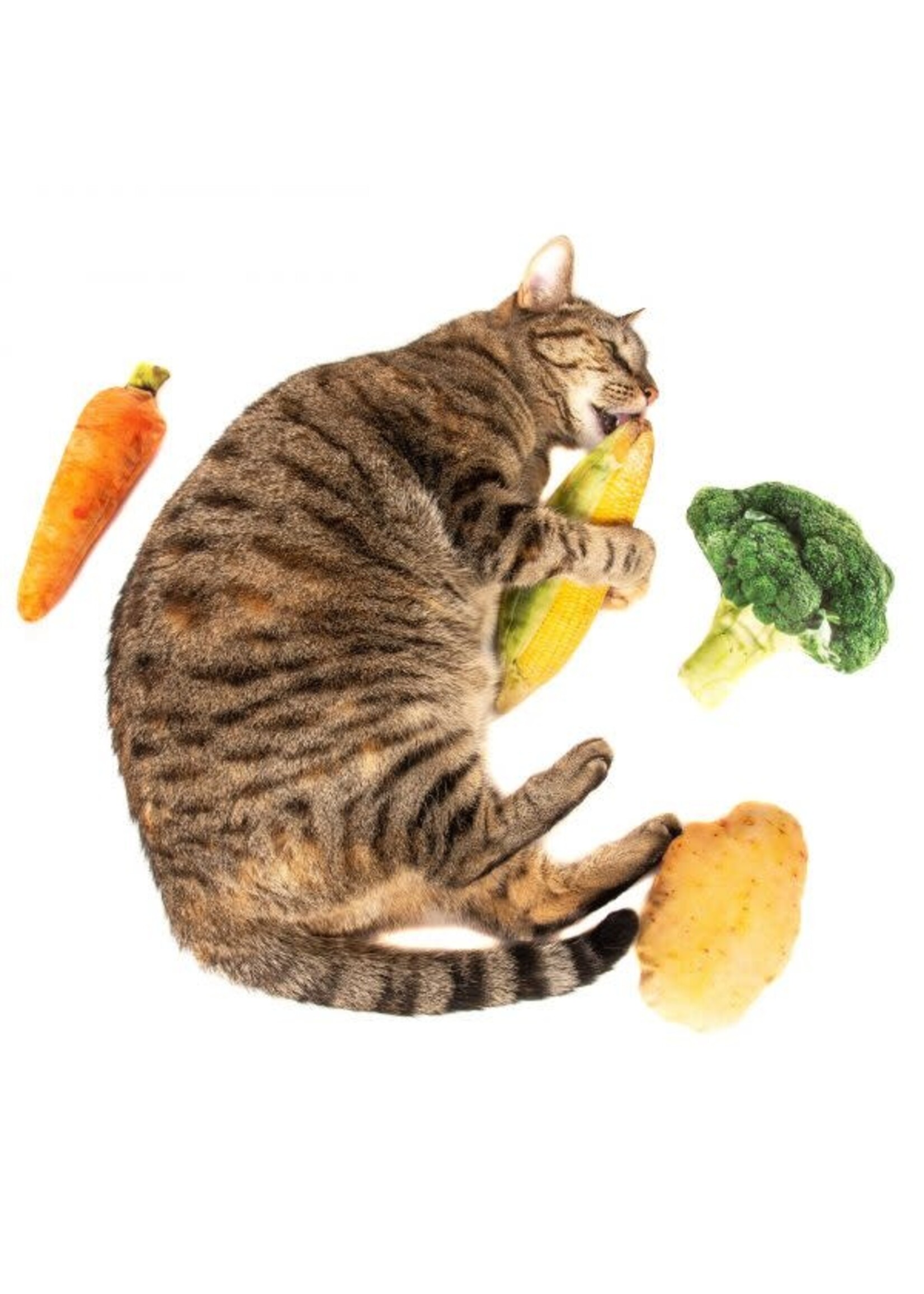 Natural Cat Toy Natural Cat Toy Catnip Jumbo Carrot Cuddle Toy