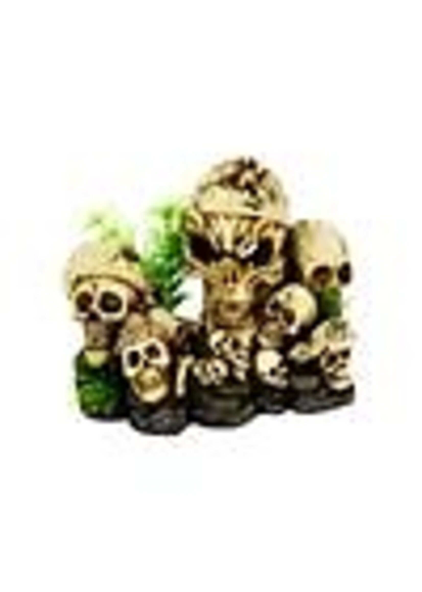 Aqua-Fit Aqua-Fit Polyresin Skull Pile 8 x 4.5 x 5.5"