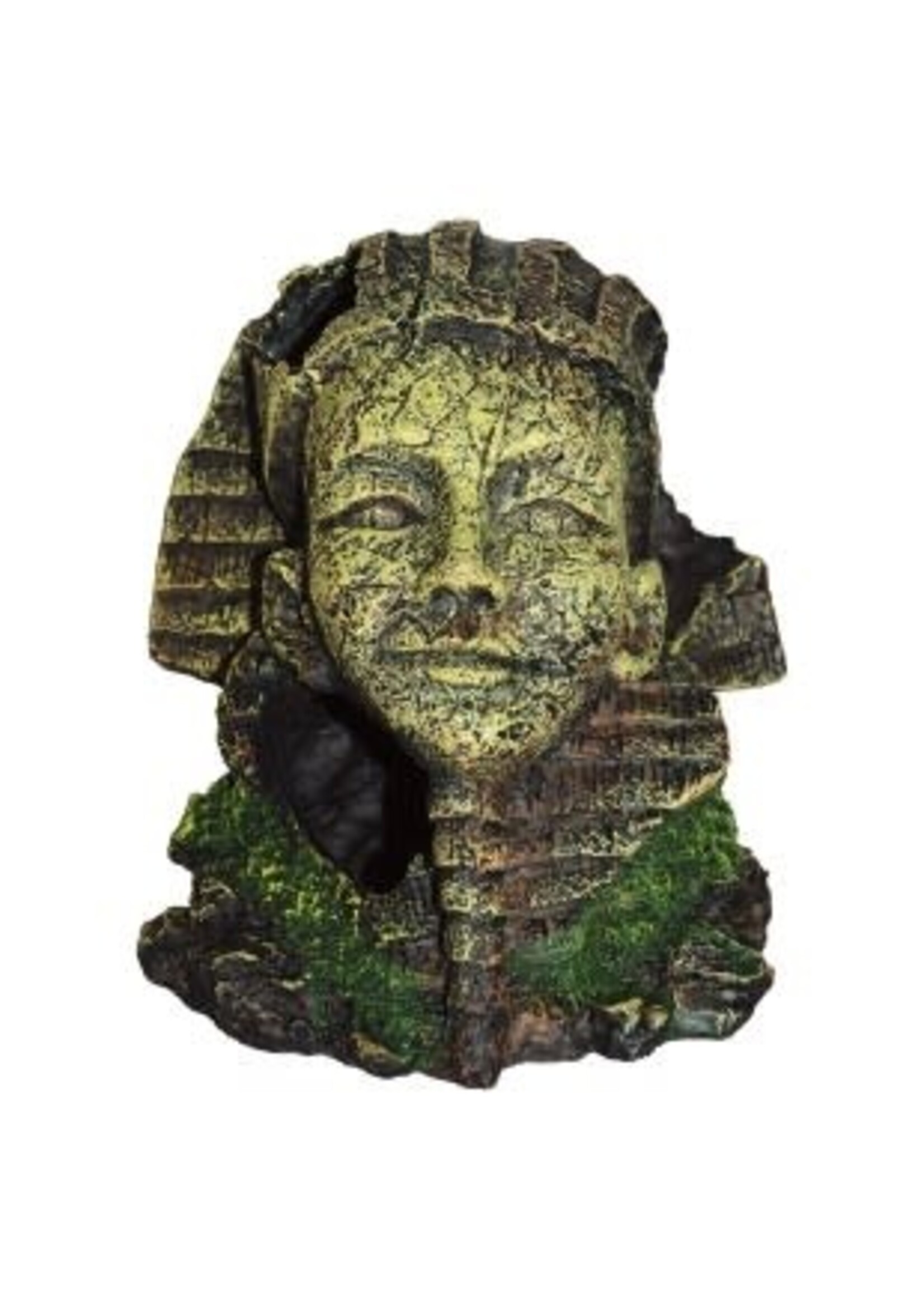 Aqua-Fit Aqua-Fit Egyptian Face 7 x 7 x 8"