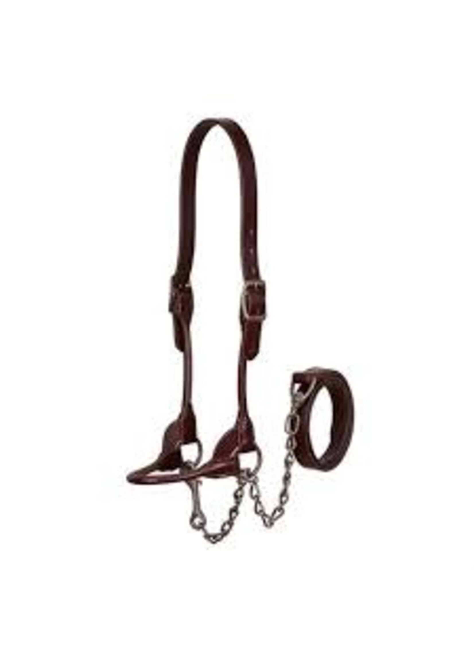 Weaver Livestock Weaver Livestock Brown Bombshell Show Halter