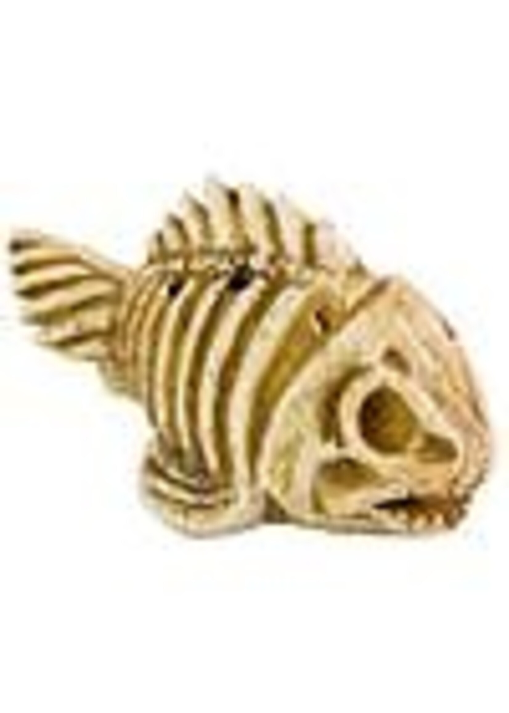 Aqua-Fit Aqua-Fit Polyresin Fish Skeleton 3 x 1.5 x 2"