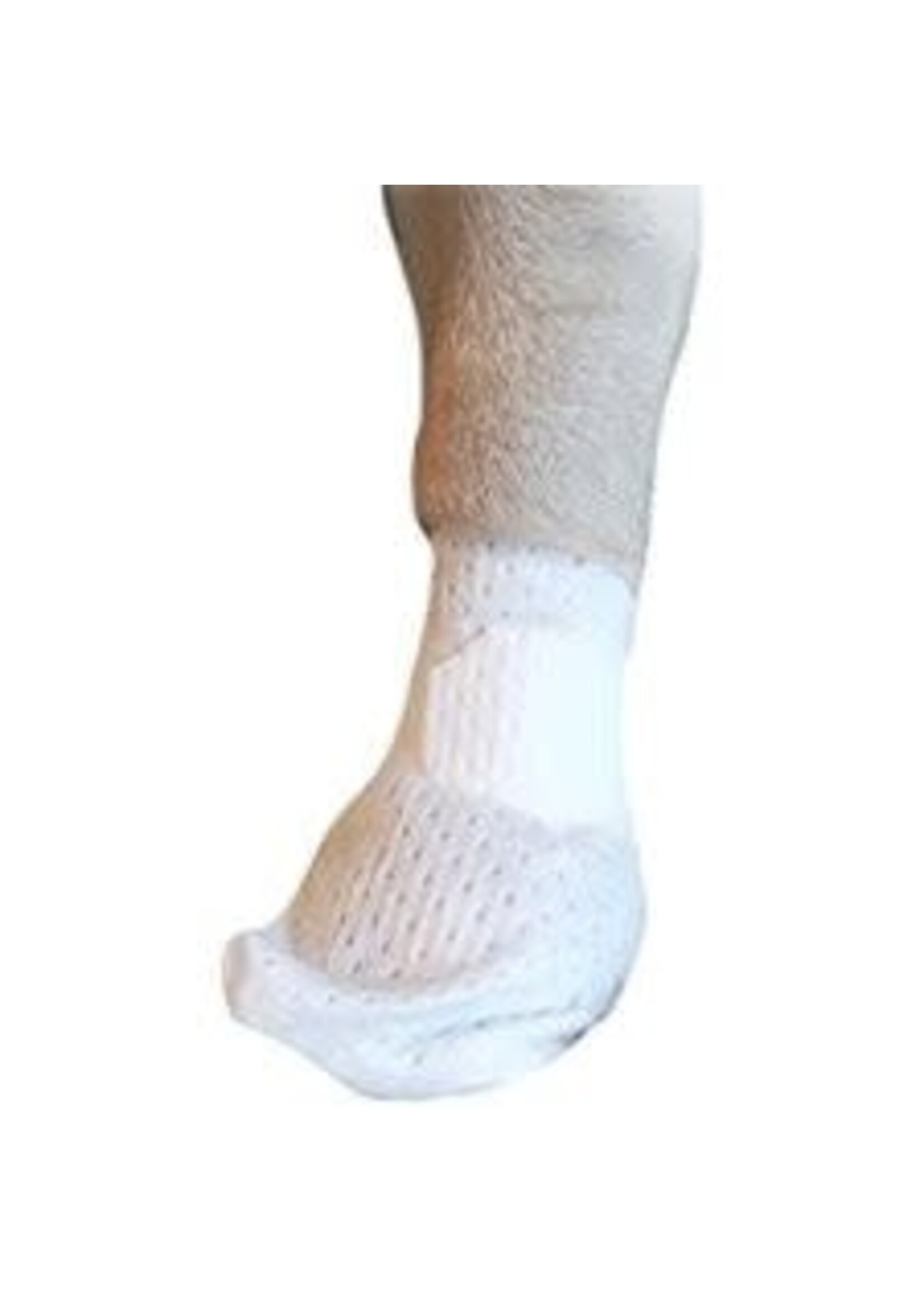 PawFlex Bandages 0-12lbs 2XS