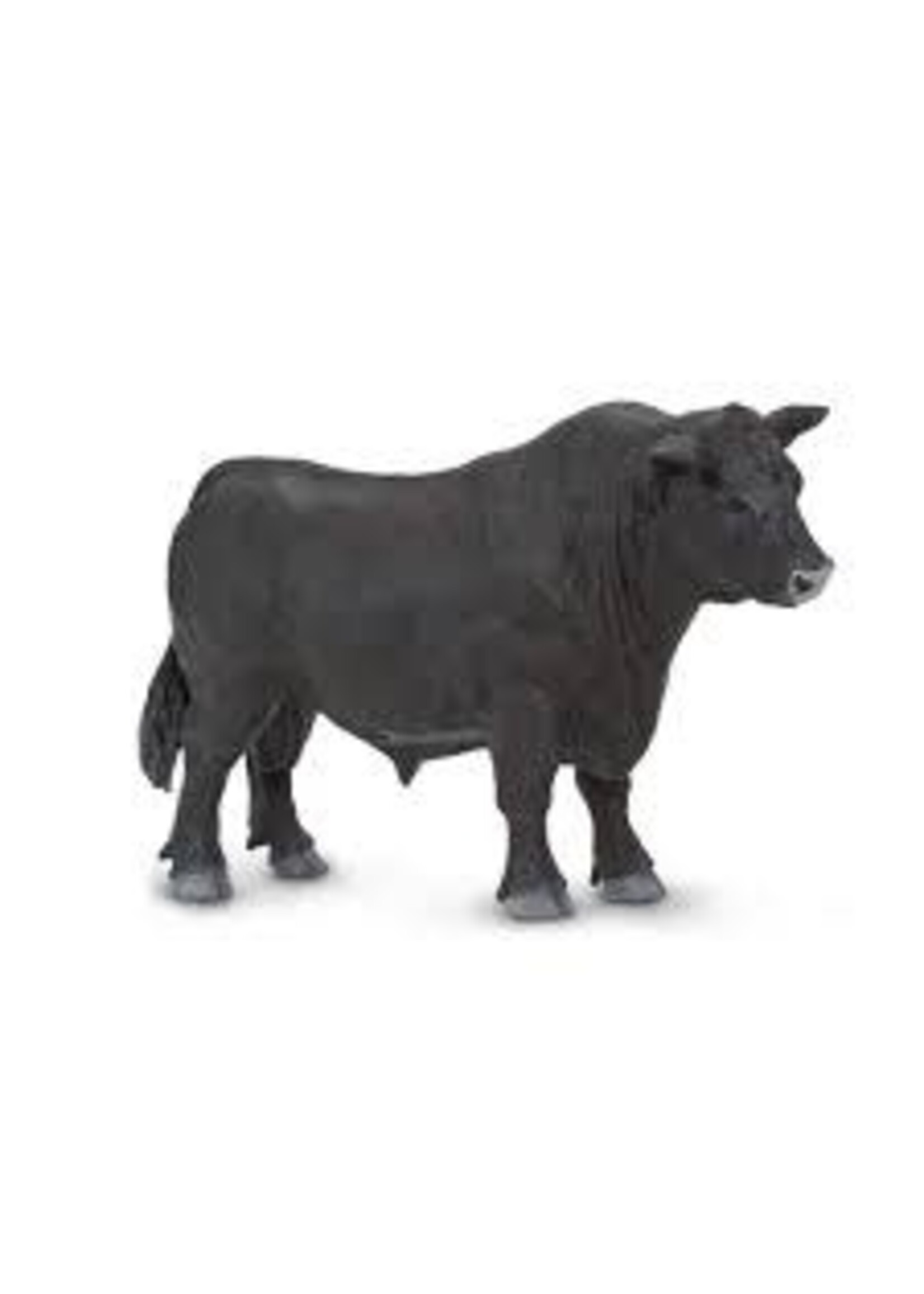 Safari Farm Angus Bull