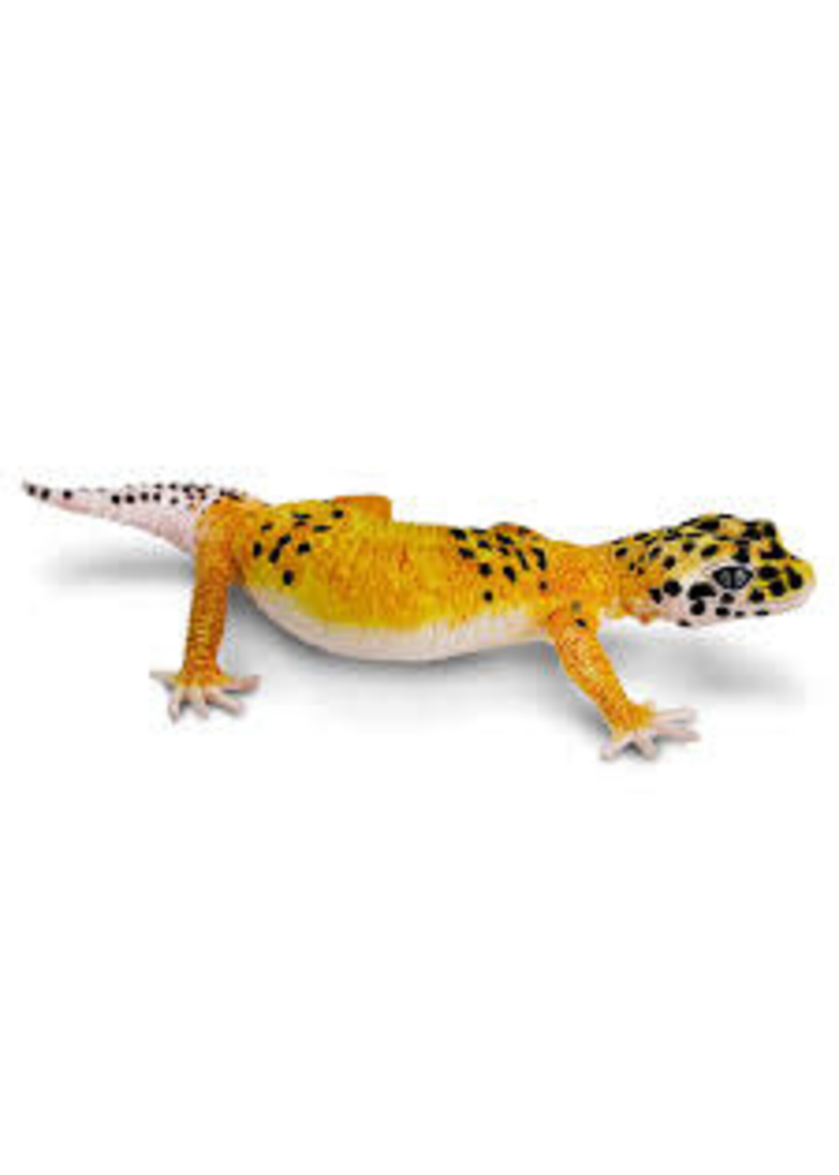 Safari Reptile Leopard Gecko Toy