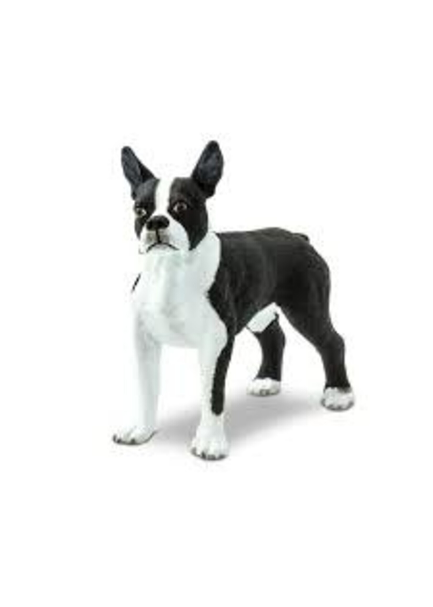 Safari Dog Boston Terrier Toy