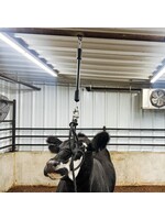 Stock Up Supply Stock Up Supply The Little Bungee