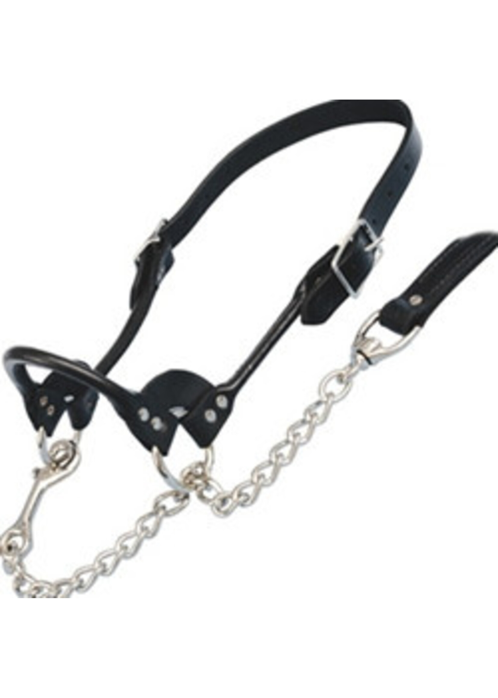 Sullivan Supply Sullivan Supply Leather Rolled Nose Show Halter Black XLarge