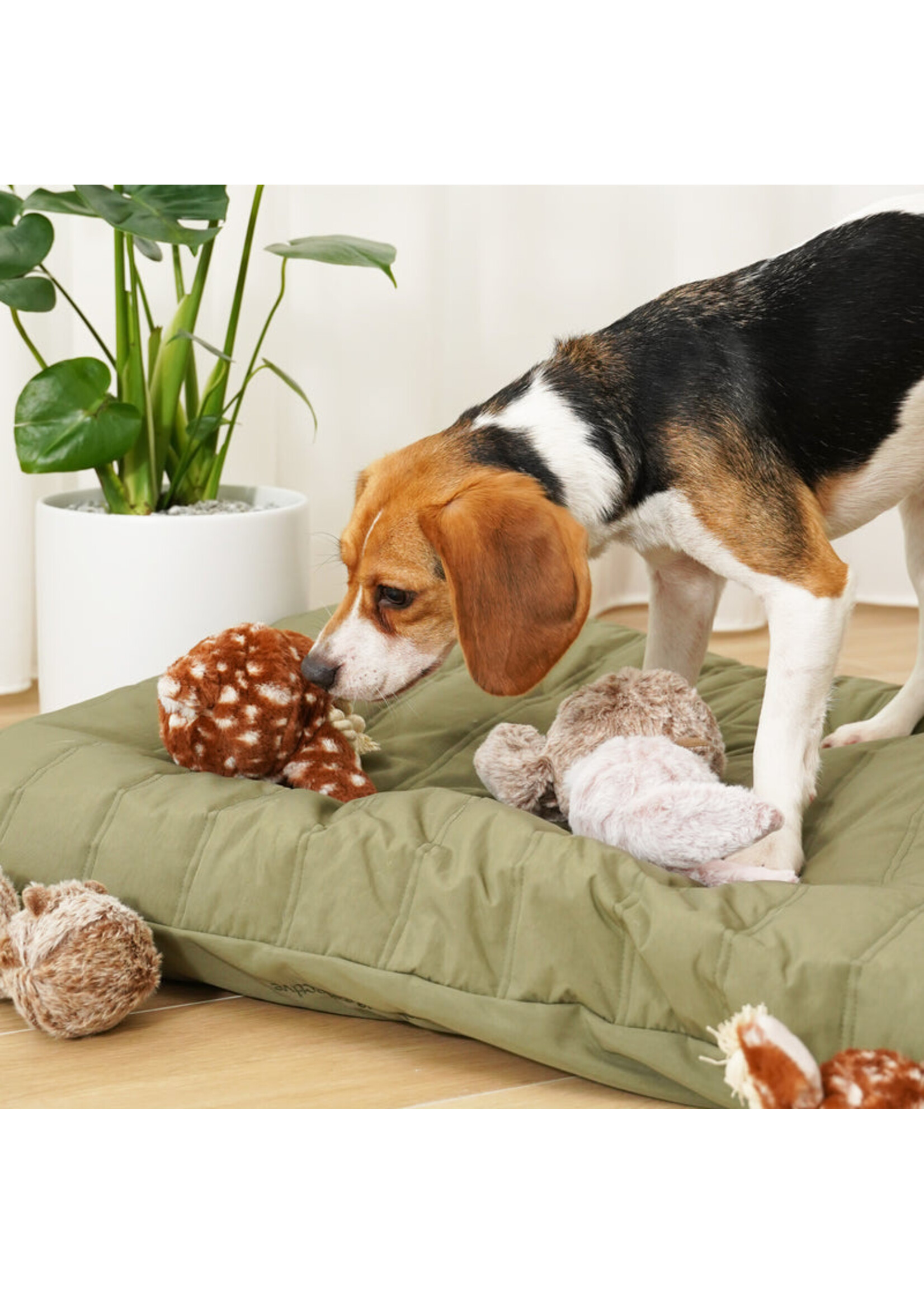 Lambwolf Collective Plush Fawn Pop Squeaky + Bouncy Toy