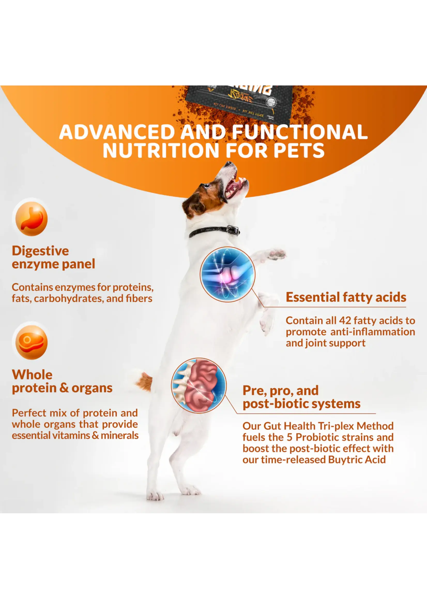 Rogue Pet Science Rogue Origins Canine 5 in 1