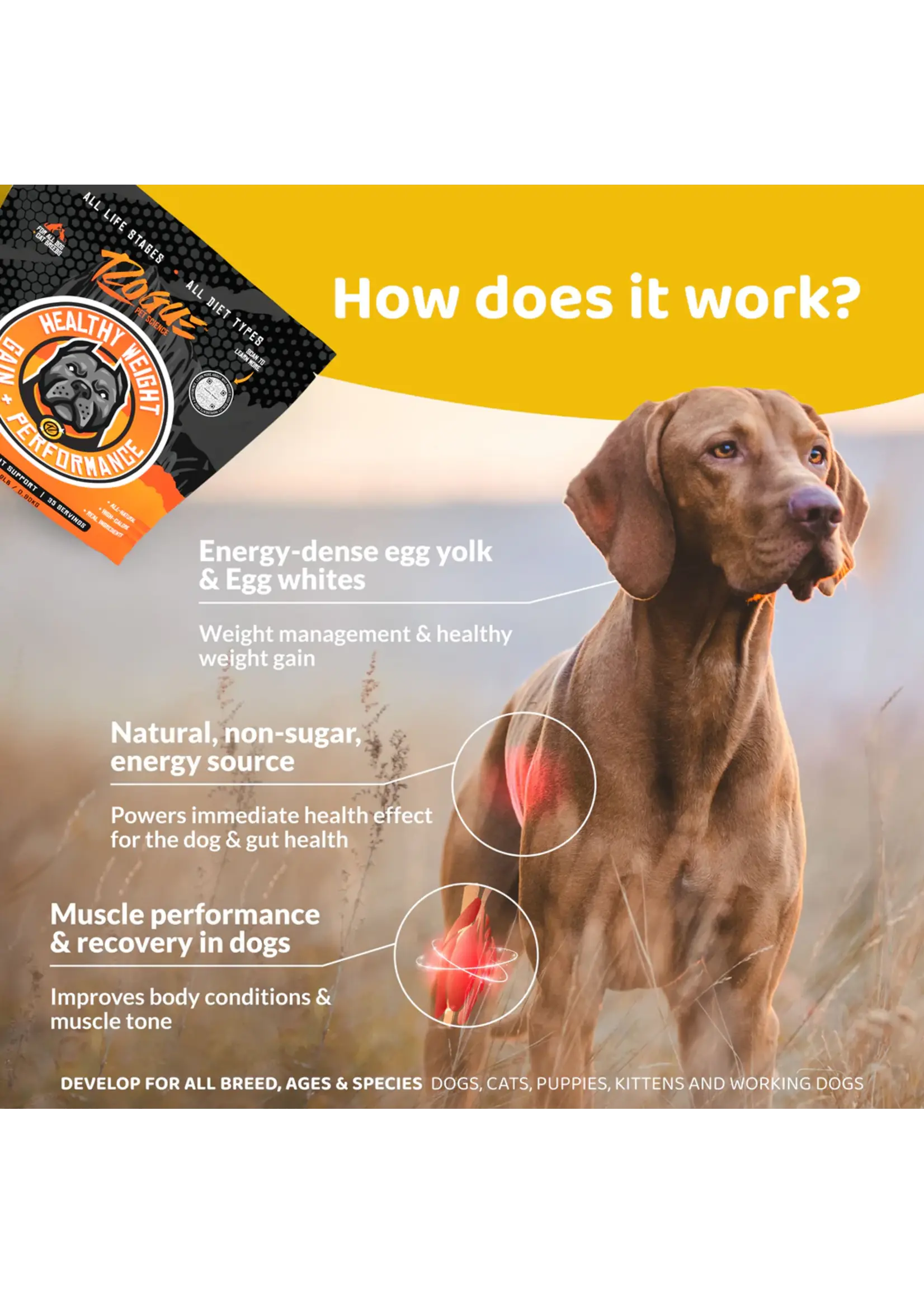 Rogue Pet Science Rogue Healthy Weight 2lbs