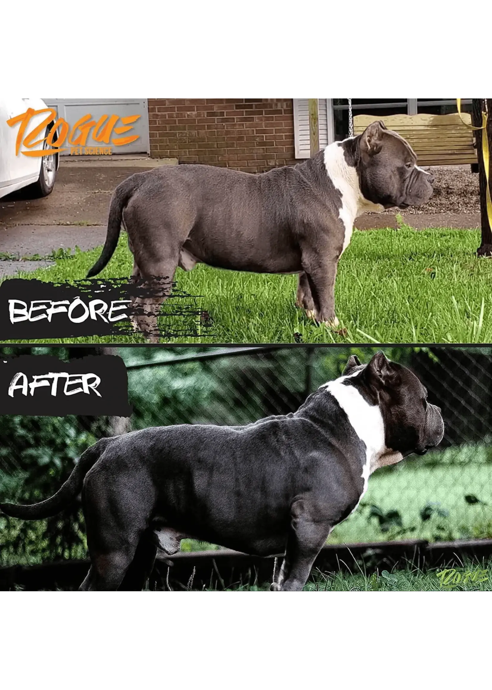 Rogue Pet Science Rogue Healthy Weight 2lbs