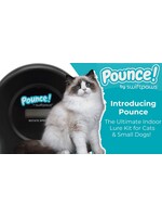 Swift Paws Pounce! Kit