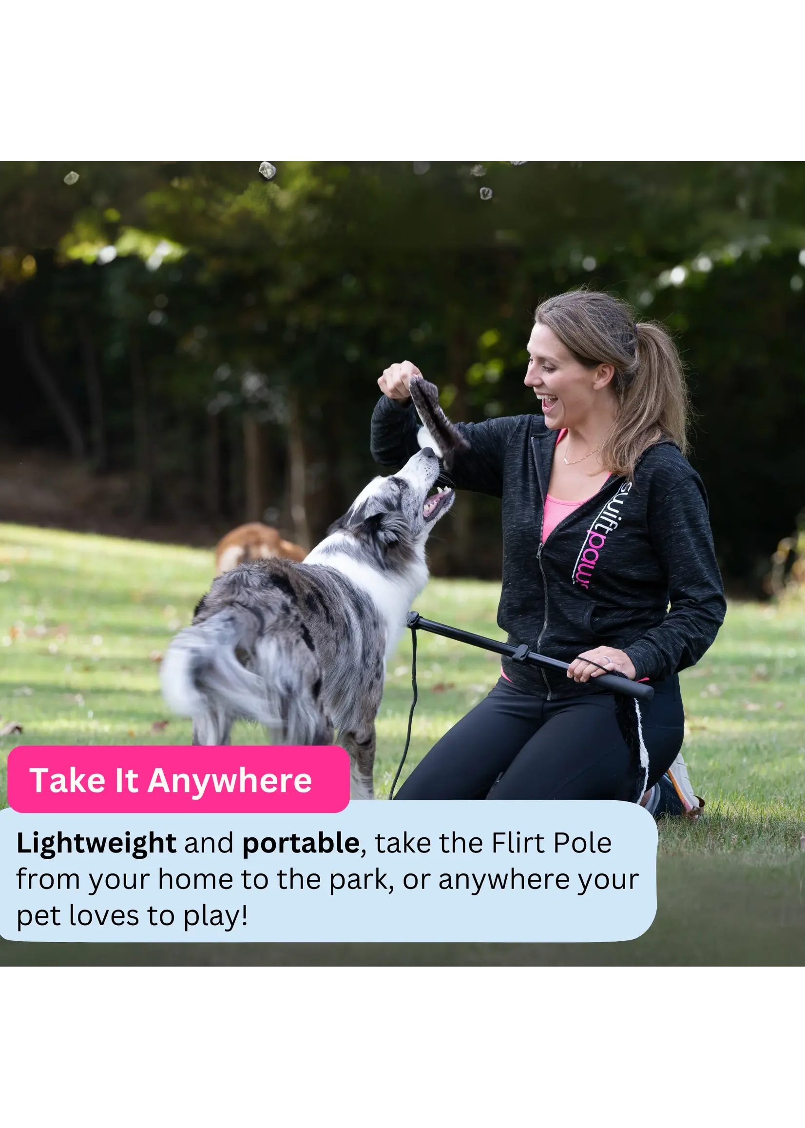 Swift Paws Flirt Pole