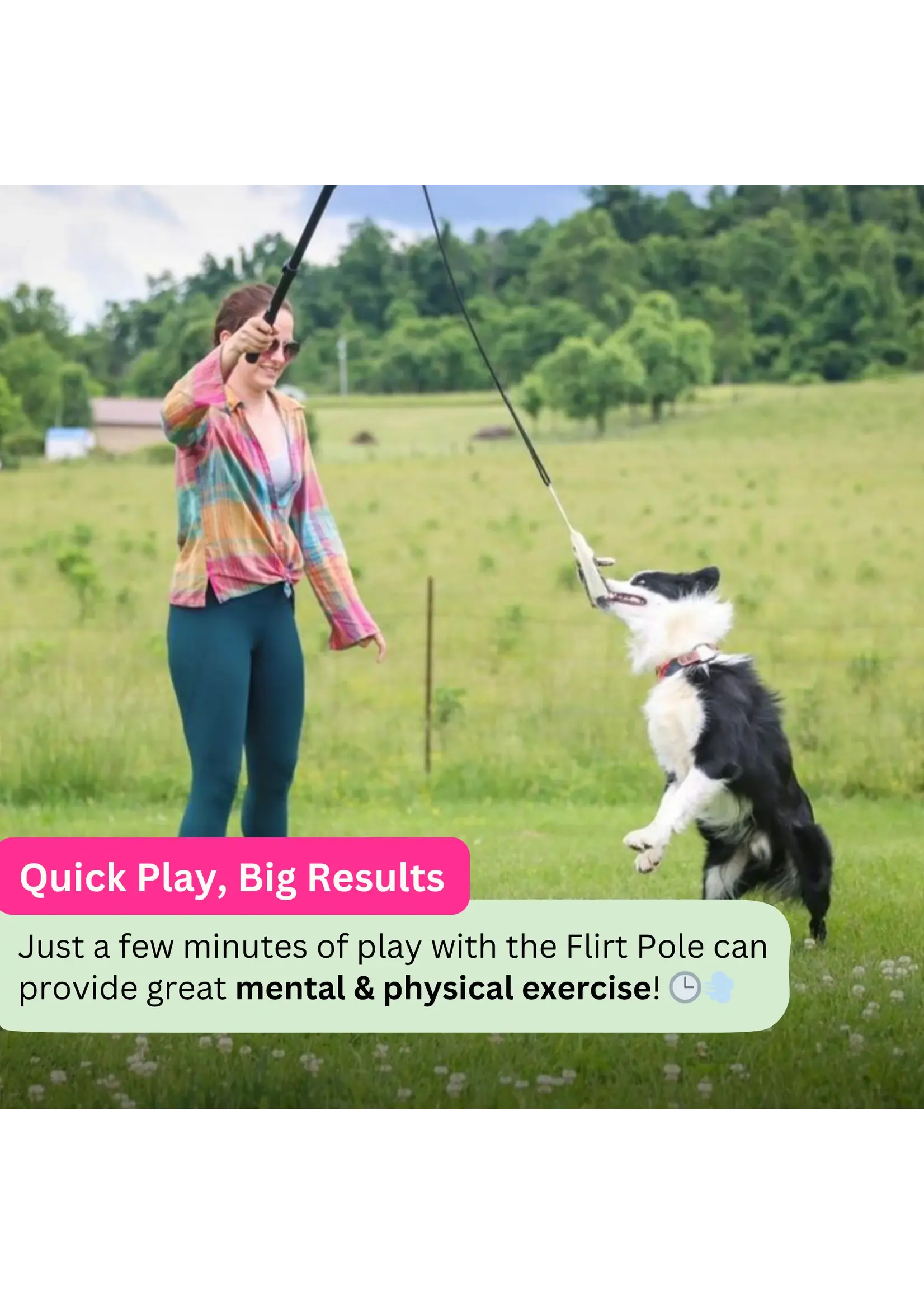 Swift Paws Flirt Pole