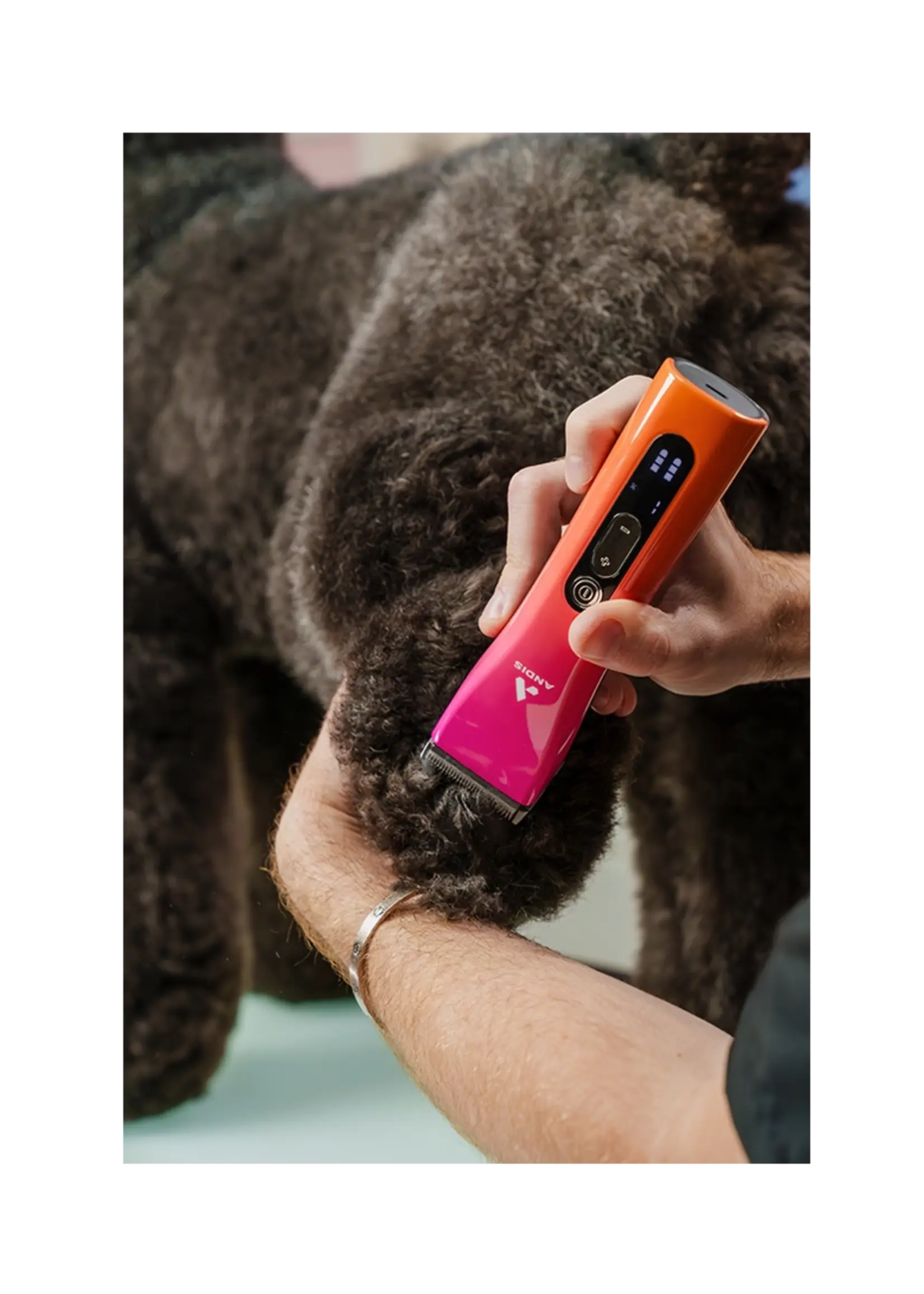 Andis Andis ProClip 5 in 1 Clipper Sunset