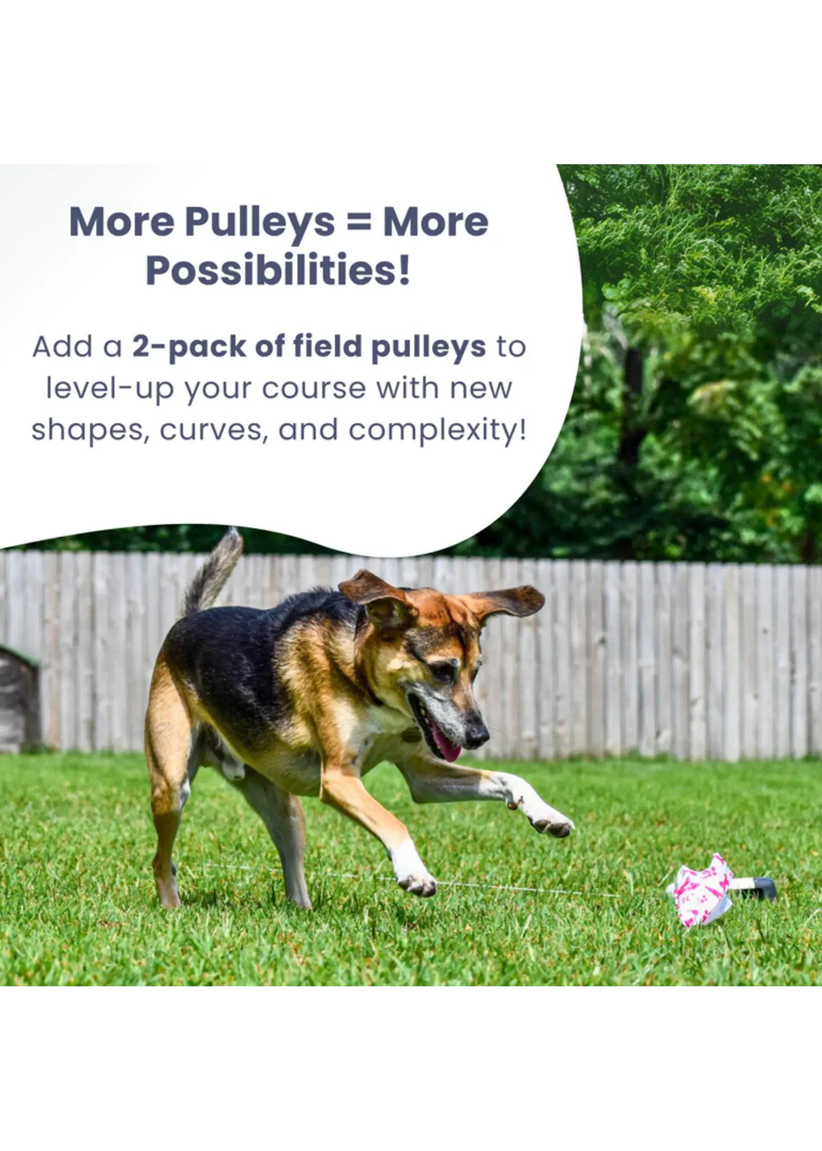 Swift Paws Swift Paws Chase! Pulley Pack