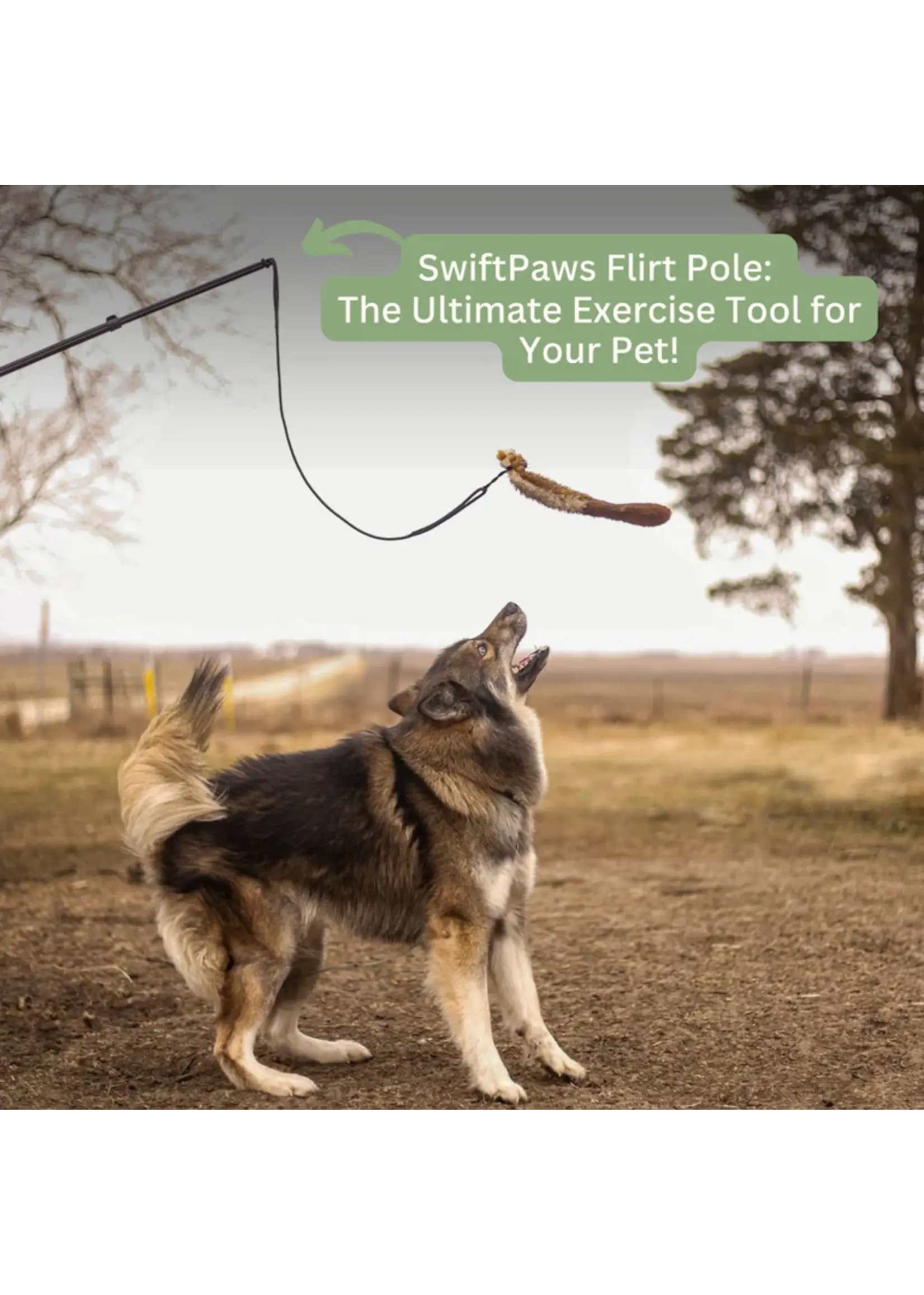 Swift Paws Critter Pack 3pack
