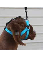 Sullivan Supply Sullivan Supply Performance Lamb & Goat Halter Blue