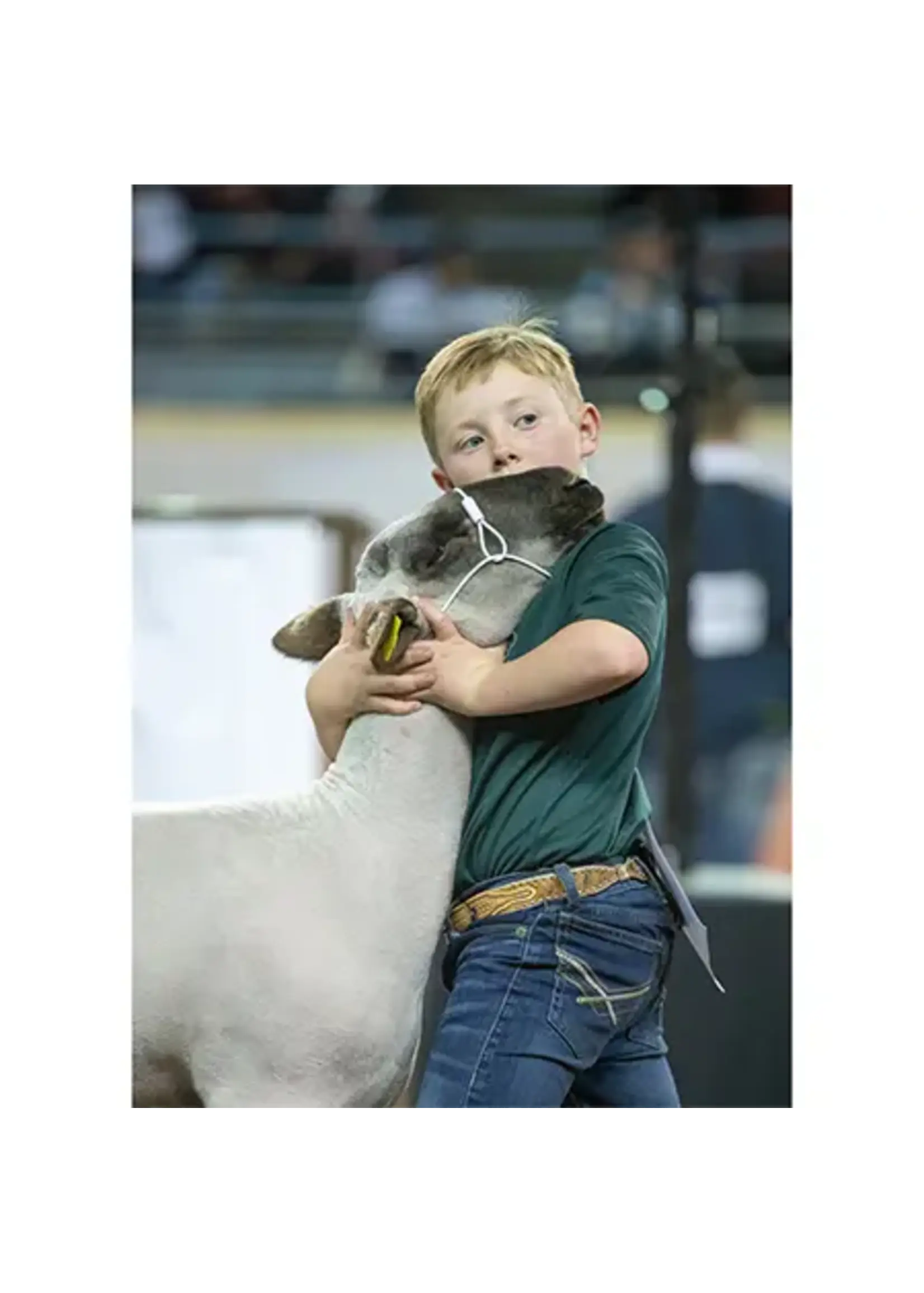 Sullivan Supply Sullivan Supply Strong Hold Cable Halter Sheep/Goat
