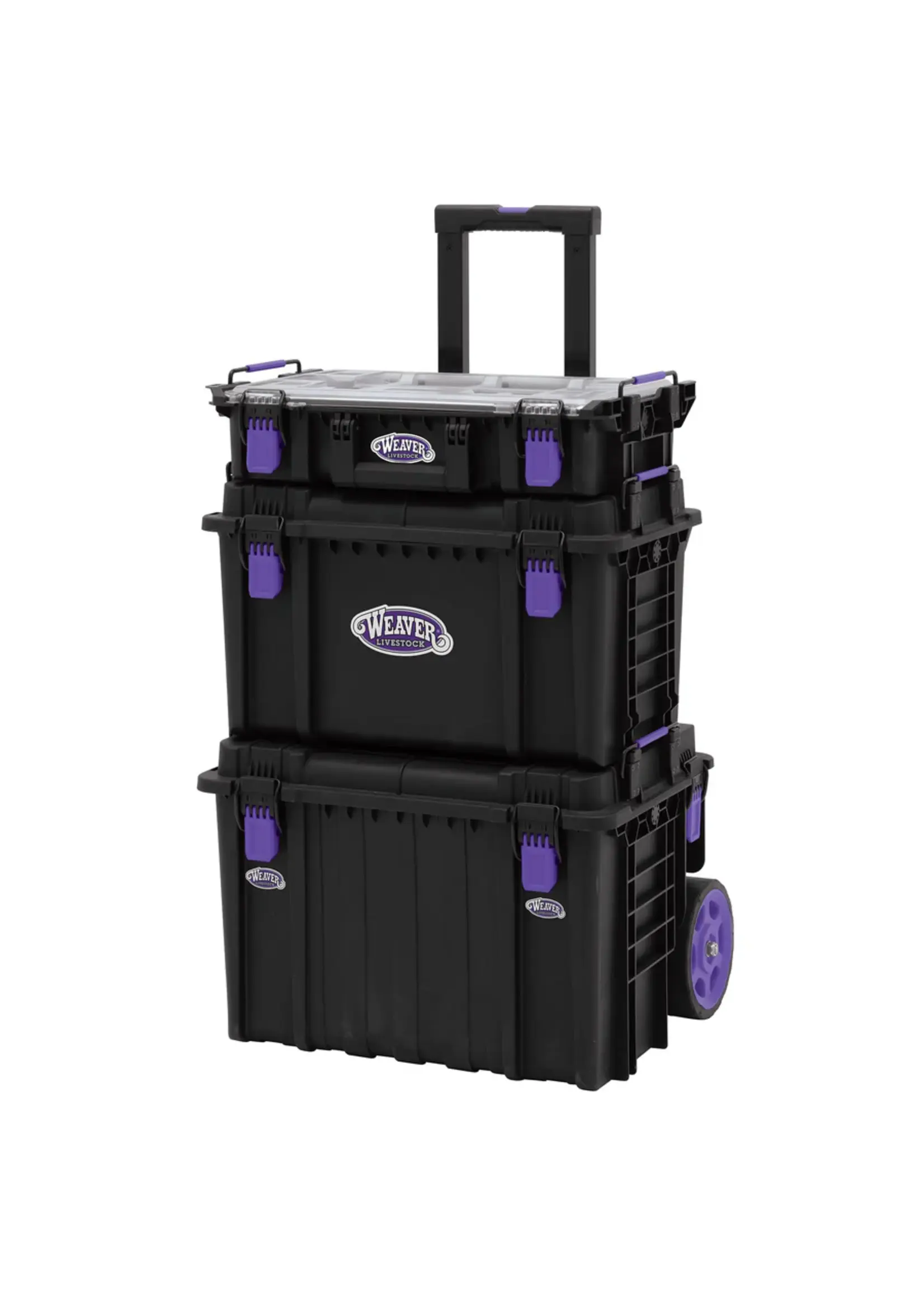 Weaver Livestock Weaver Livestock Customizable Showbox Kit