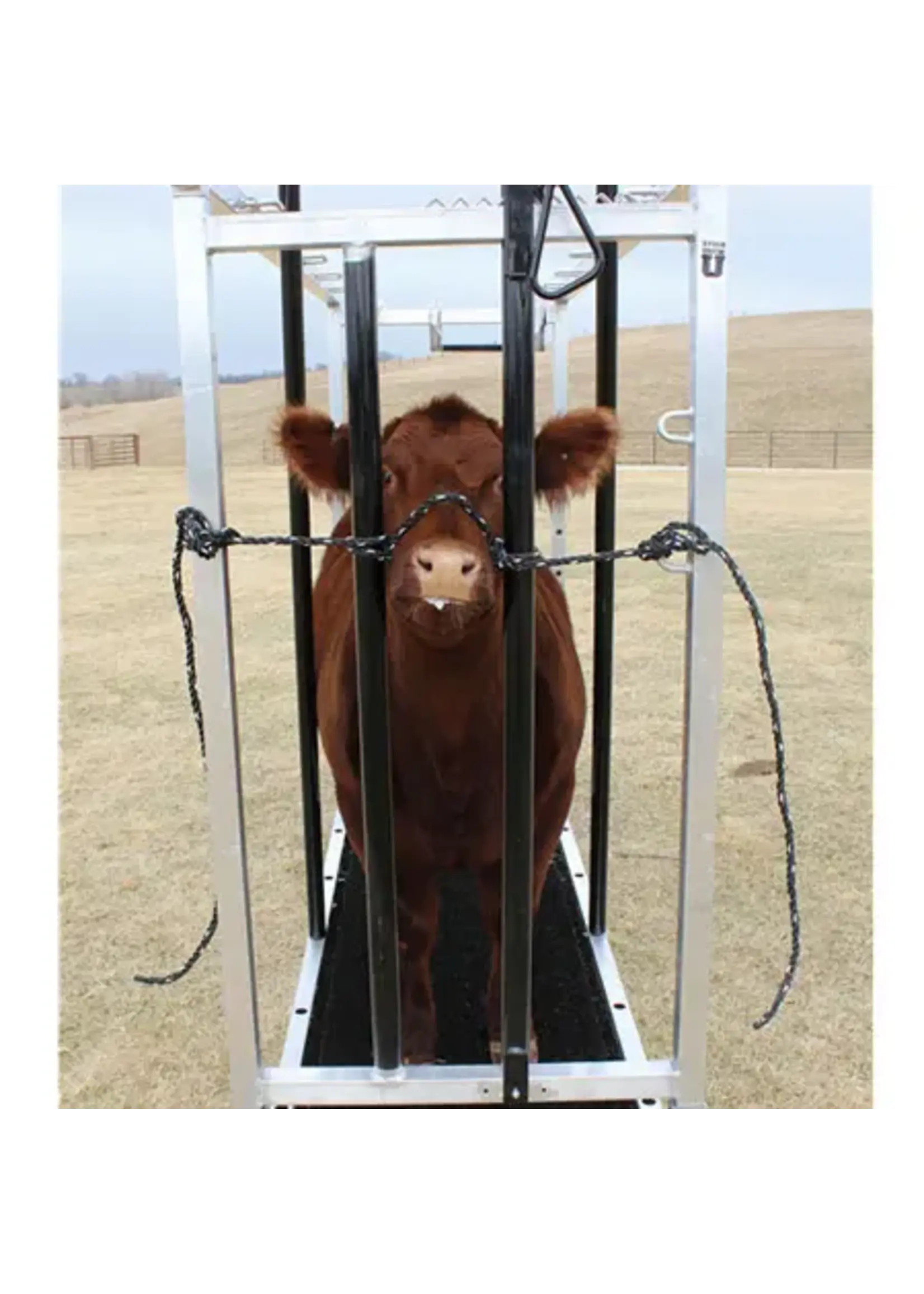 Sullivan Supply Sullivan Supply Double Lead Rope Halter