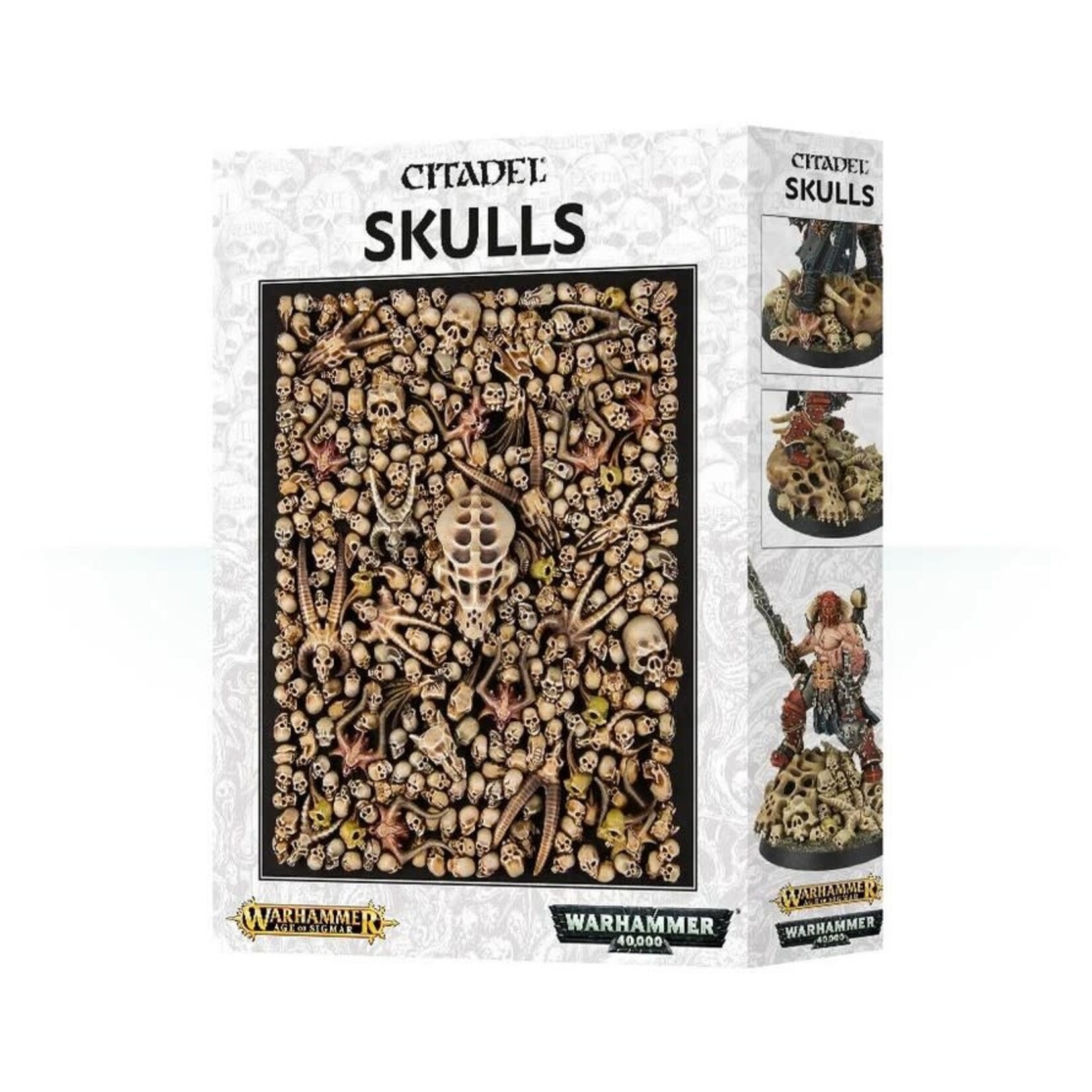 Games Workshop Citadel - Skulls