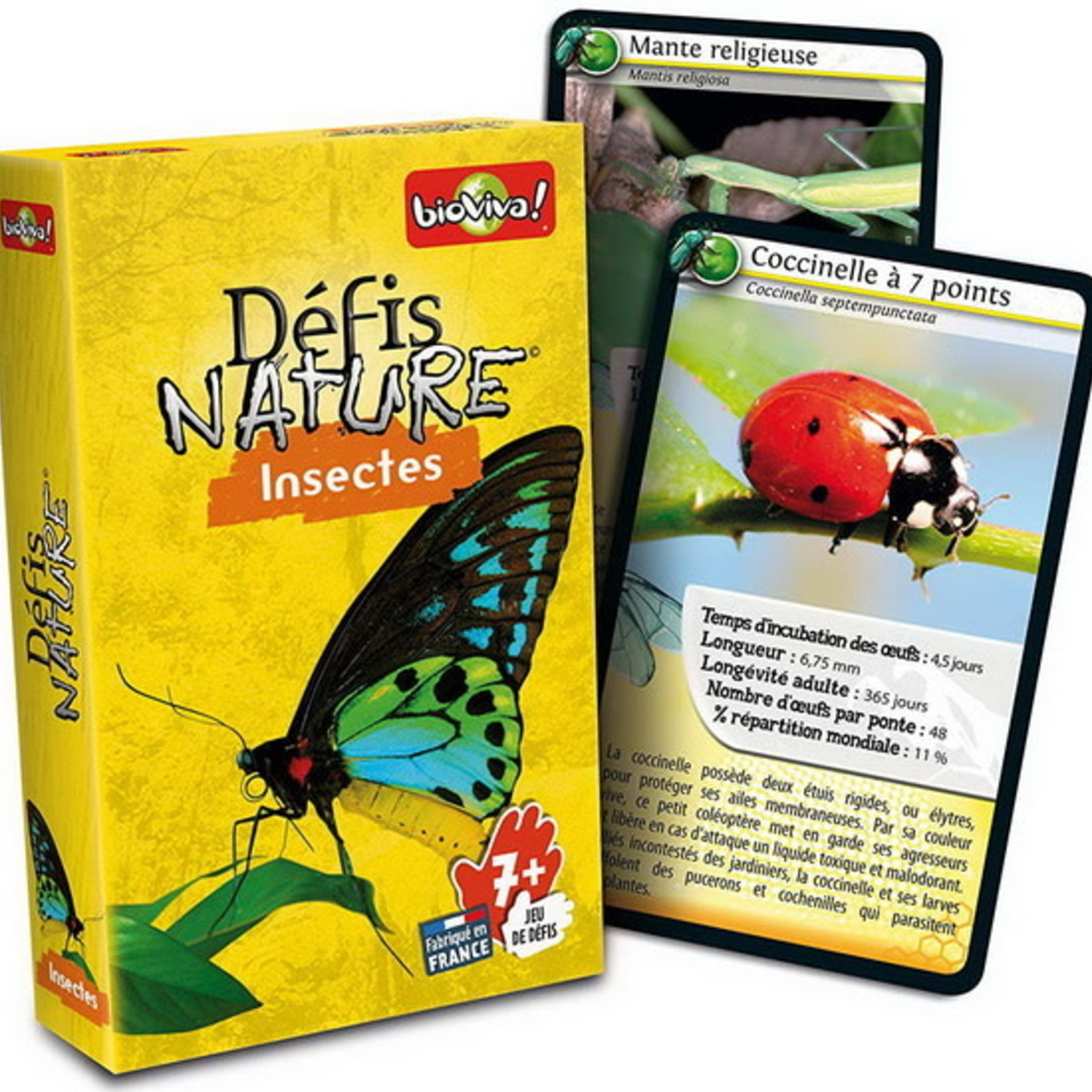 Bioviva Défis Nature - les Insectes