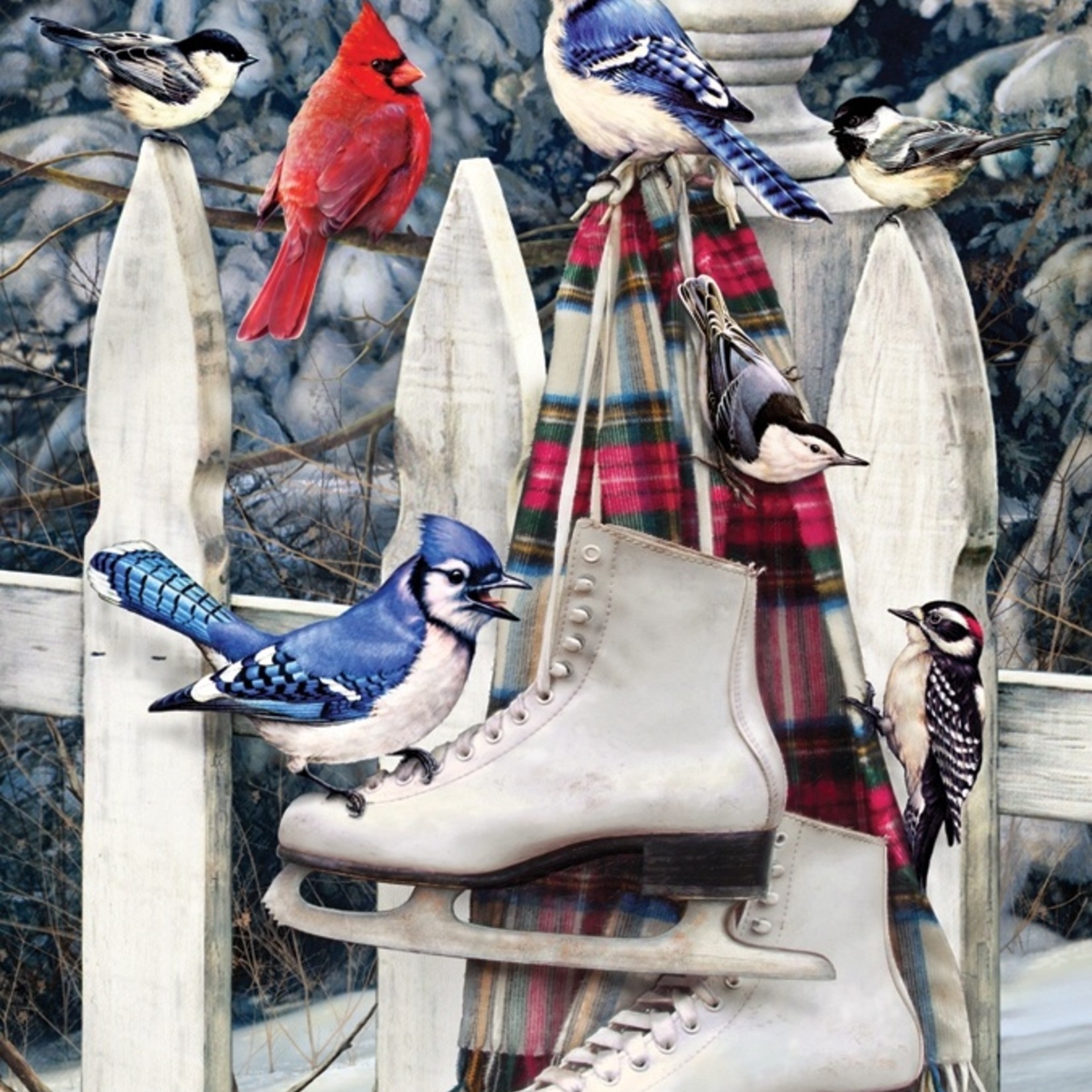 Cobble Hill Cobble Hill 500 - Birds with skates