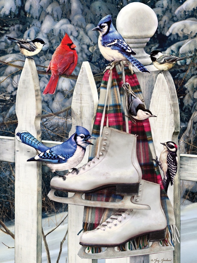 Cobble Hill Cobble Hill 500 - Birds with skates