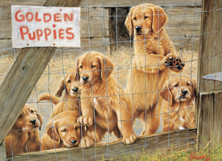 Cobble Hill *****Cobble Hill 500 - Golden Puppies