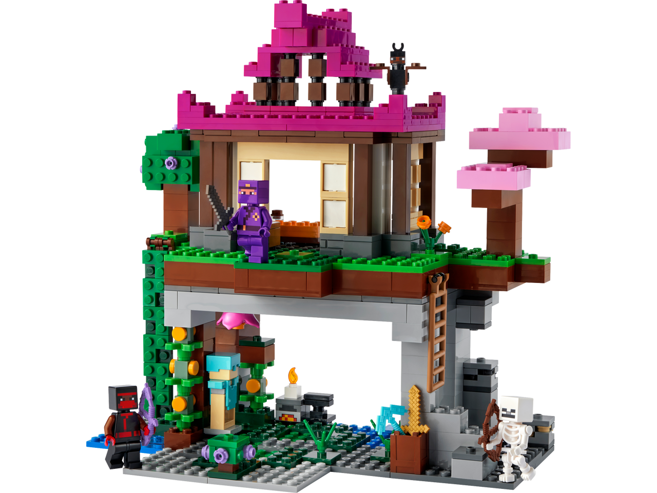 Lego Lego Minecraft 21183 - Le camp d'entraînement